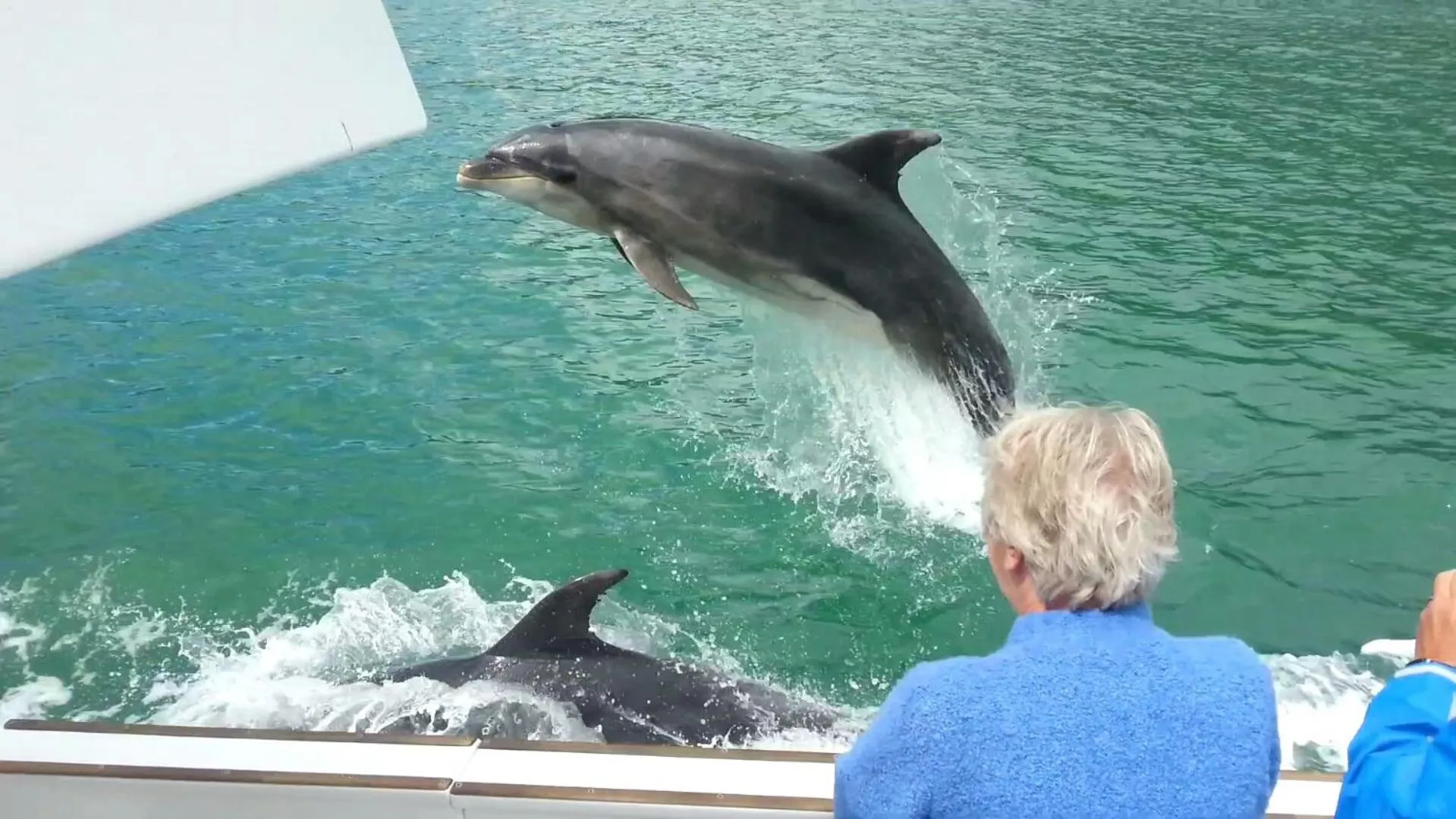 Property building in Havelock Garden Motel
