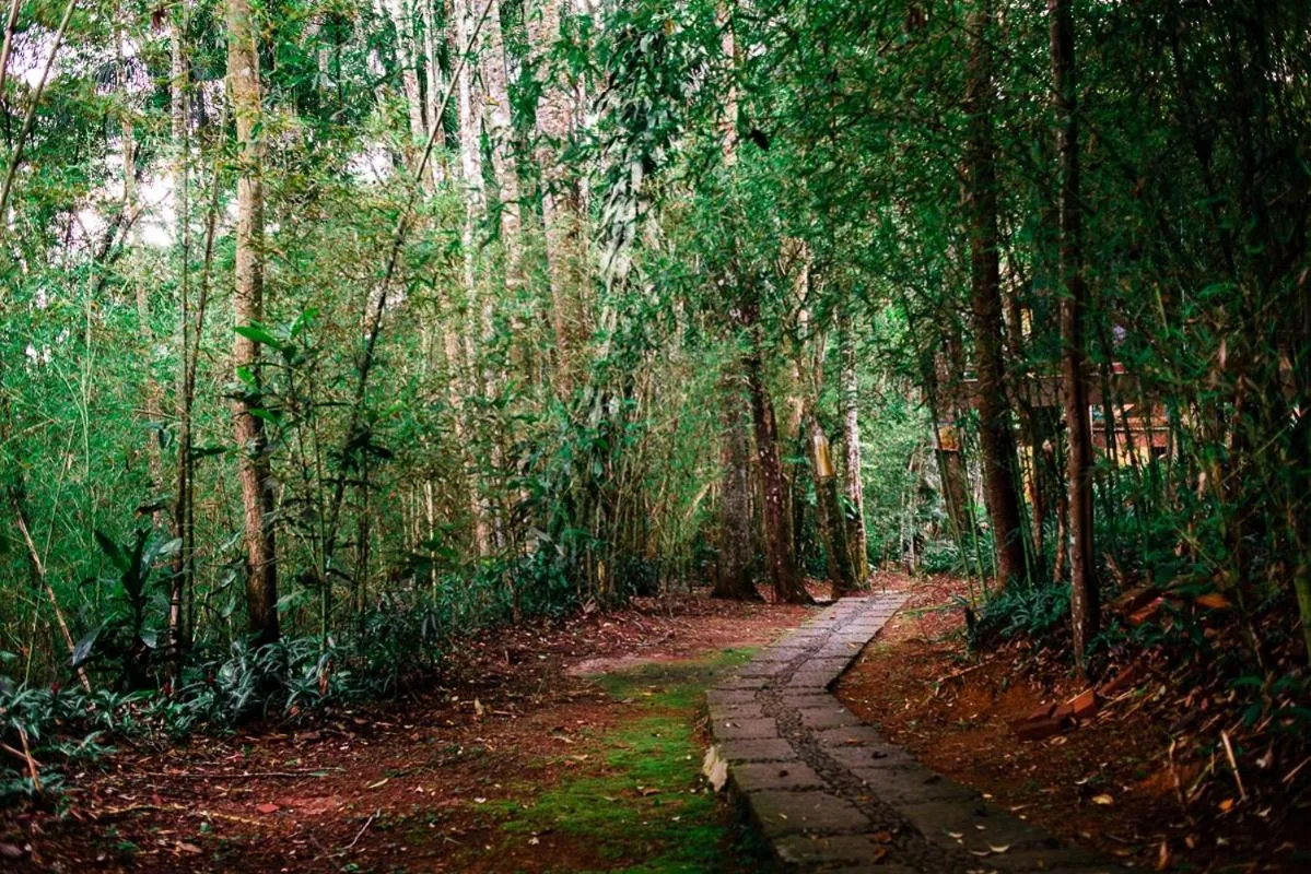 Activities in Urikana Boutique Hotel