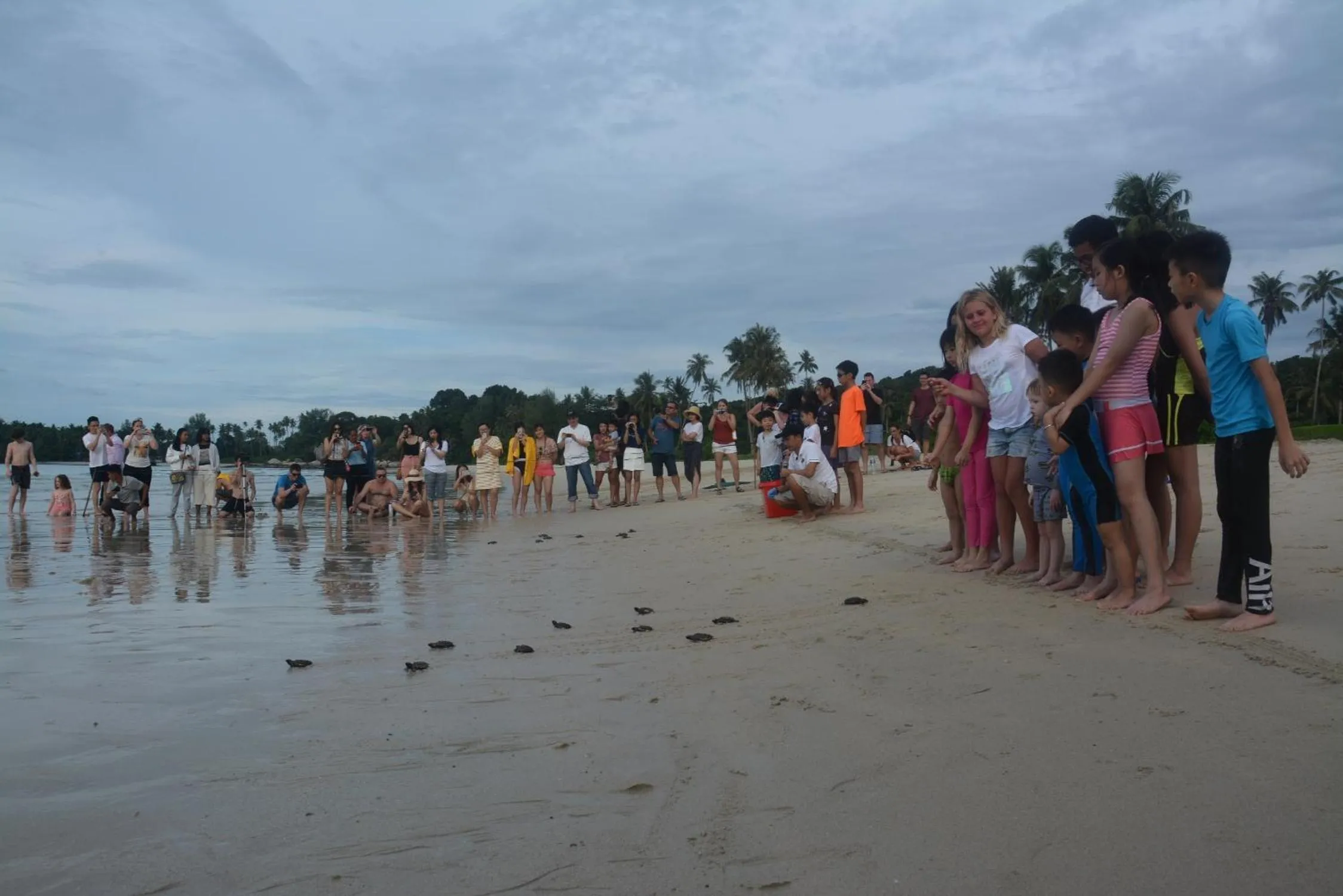 Activities in Angsana Bintan