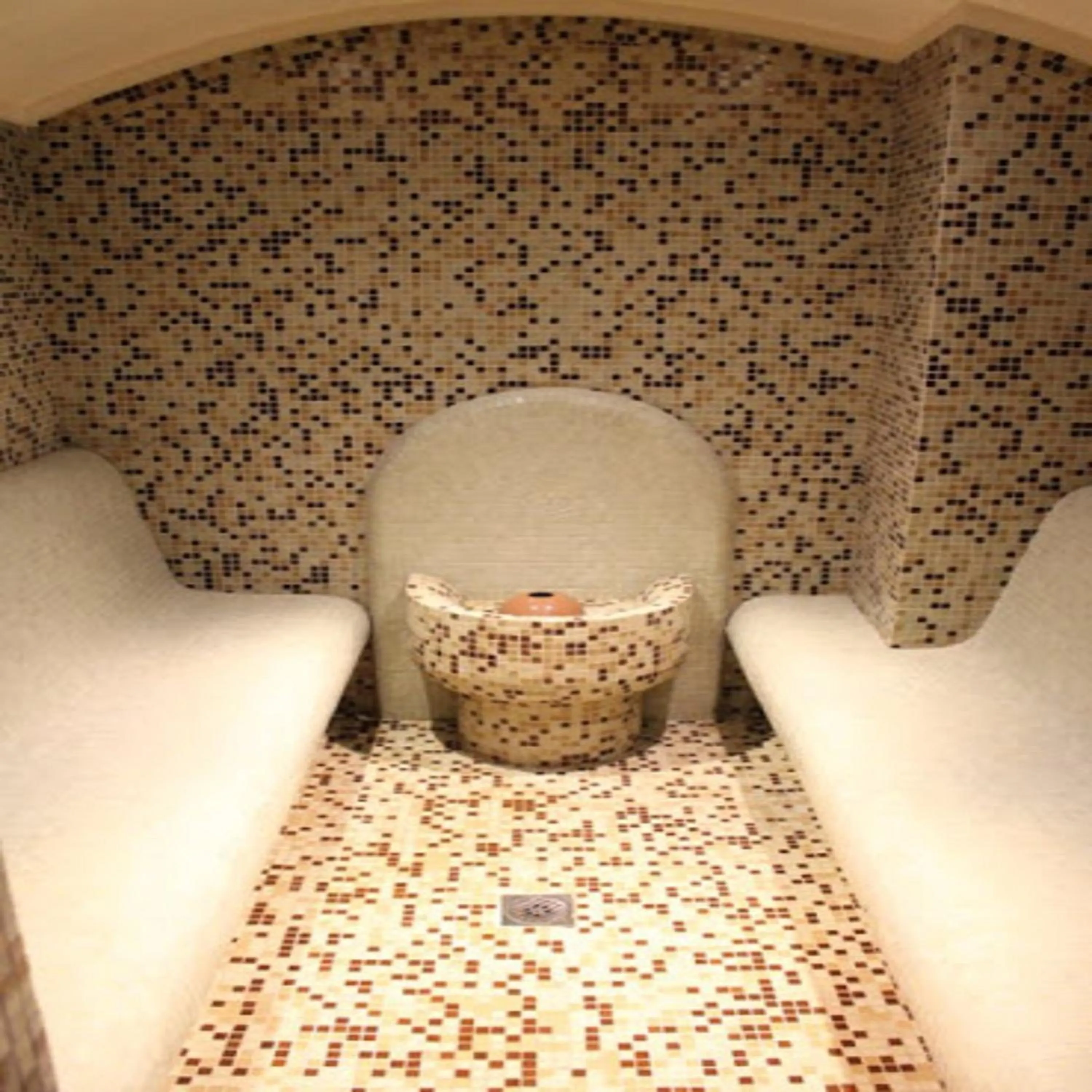 Sauna in Park Hotel Arbanassi