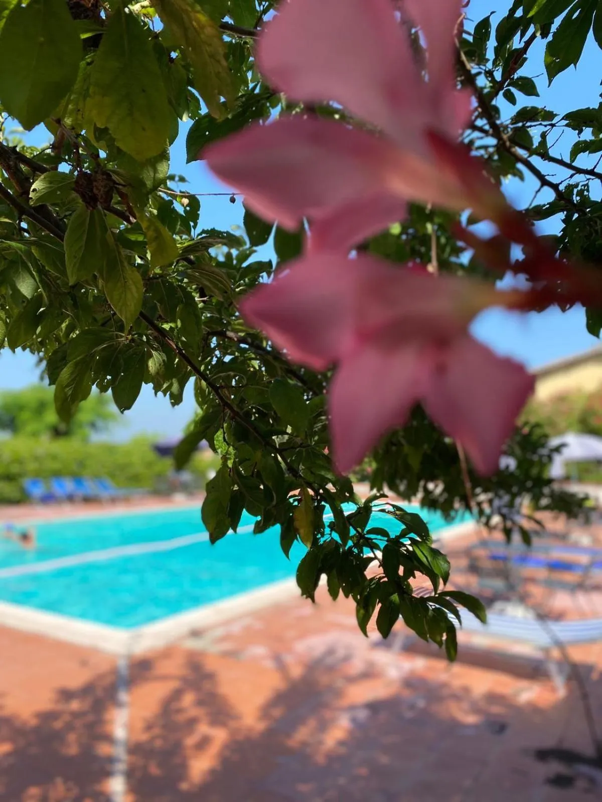 Pool view in Cardinal Girolamo