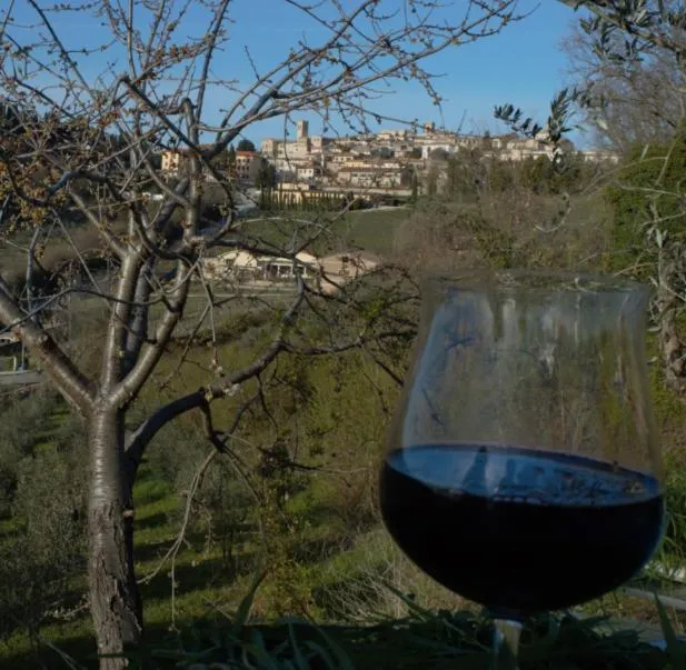 Garden view in Cardinal Girolamo