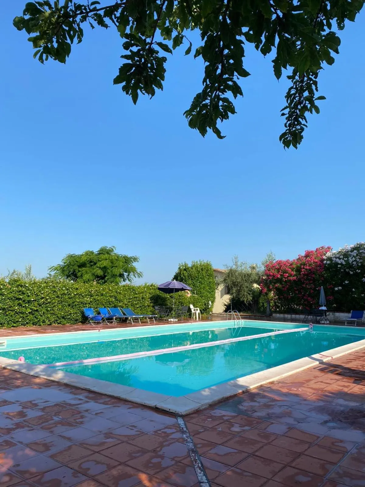 Swimming pool in Cardinal Girolamo