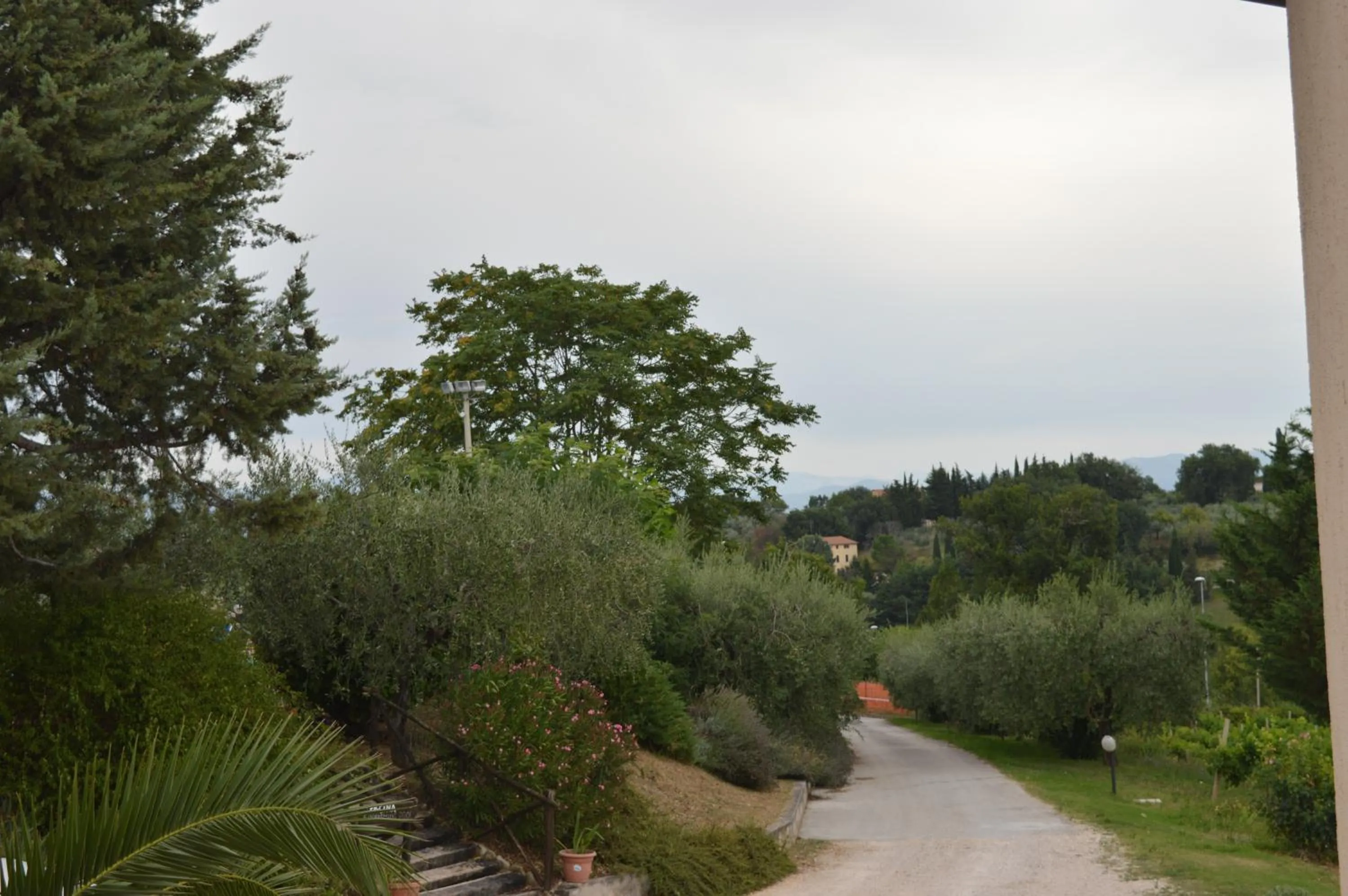Garden view in Cardinal Girolamo