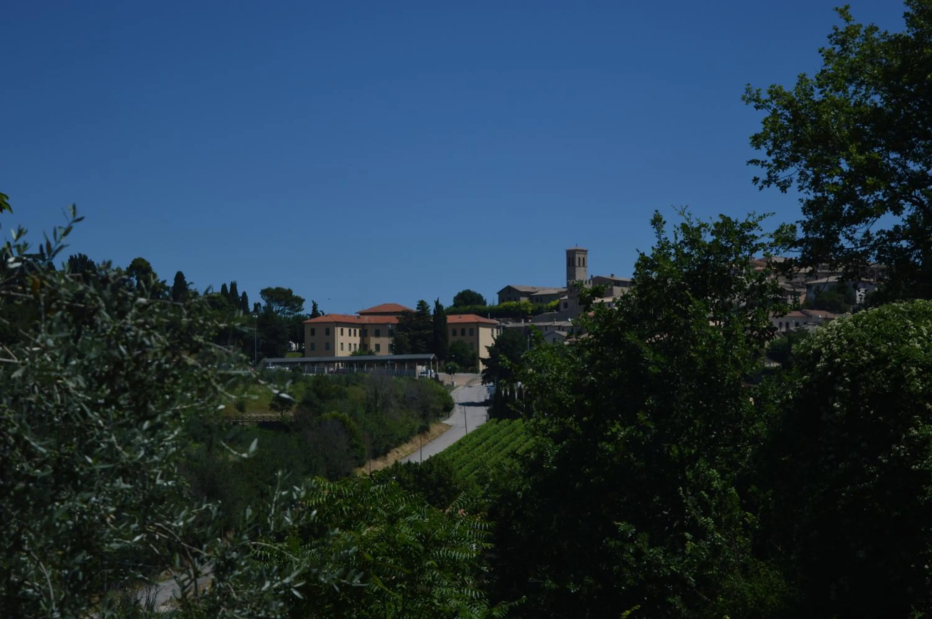 Other in Cardinal Girolamo