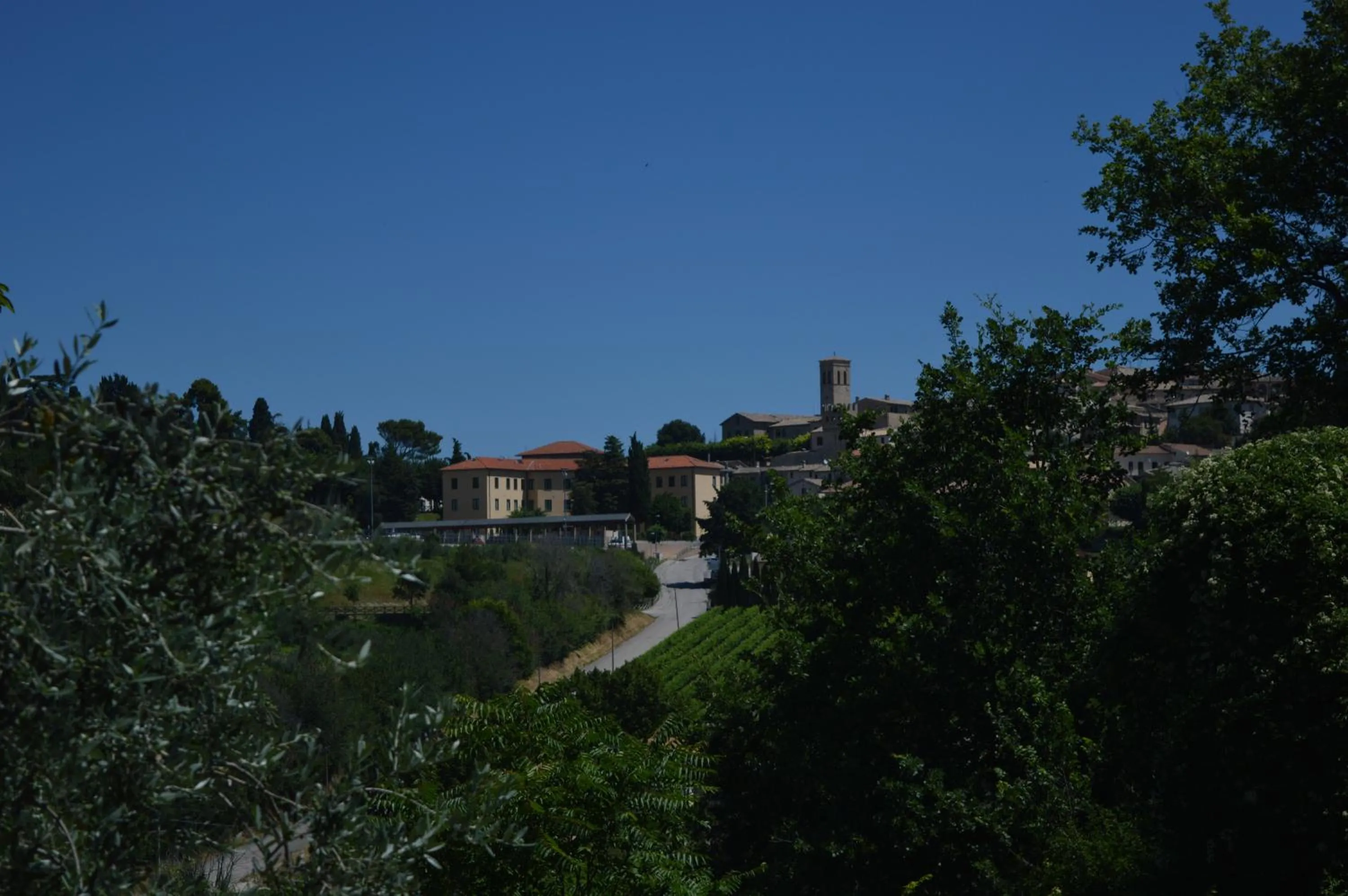 On site in Cardinal Girolamo