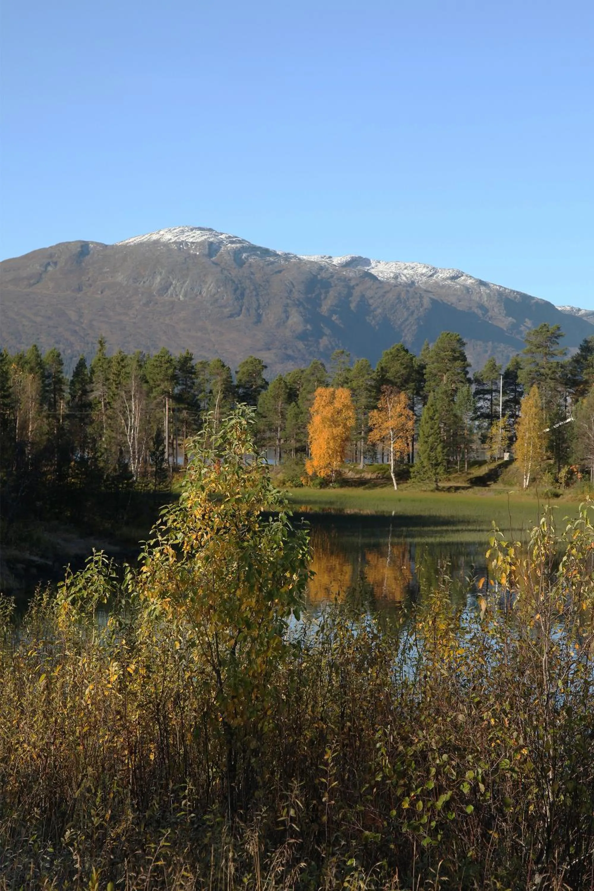 Autumn in Vålådalens Fjällstation