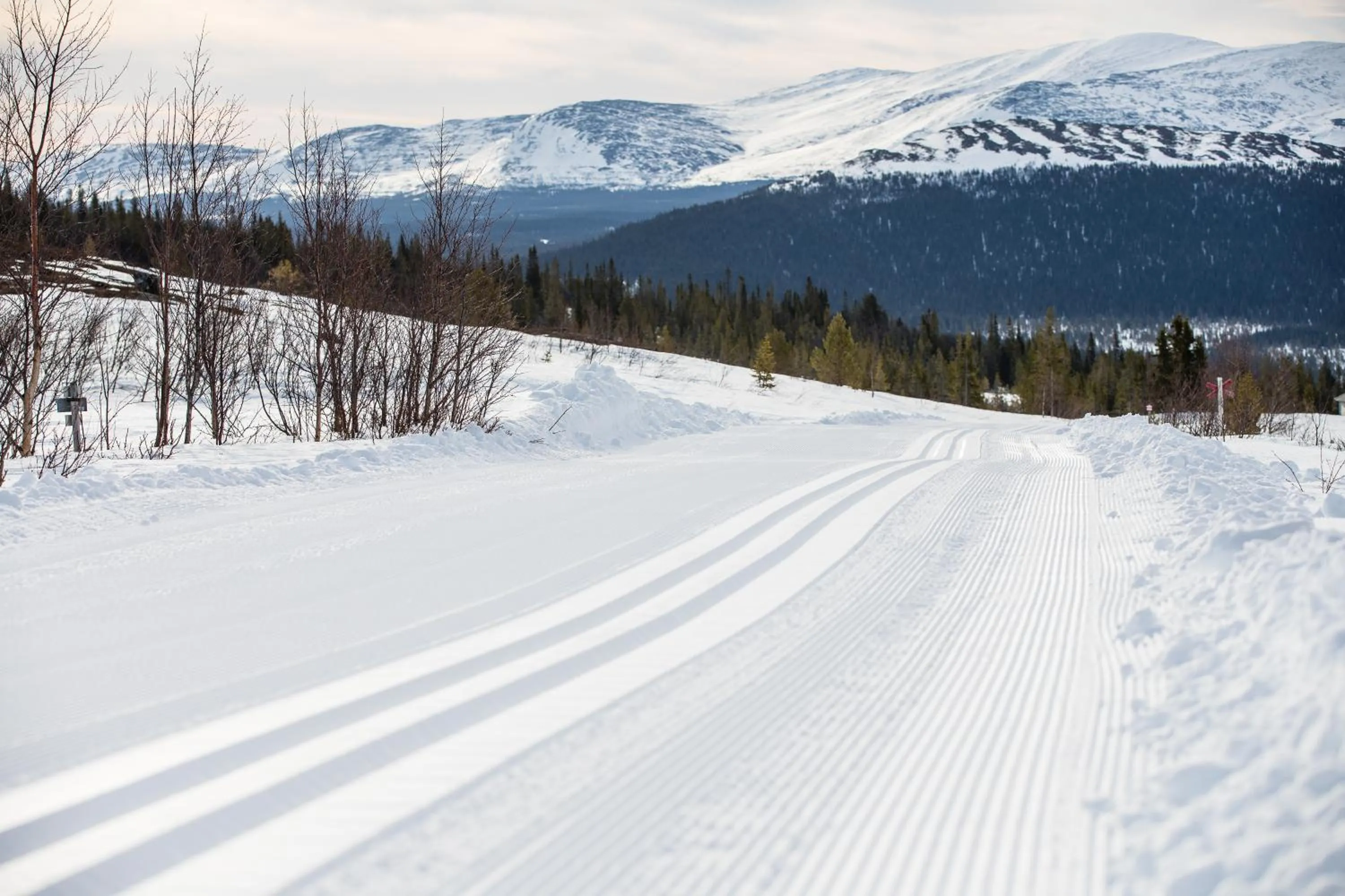 Skiing in Vålådalens Fjällstation