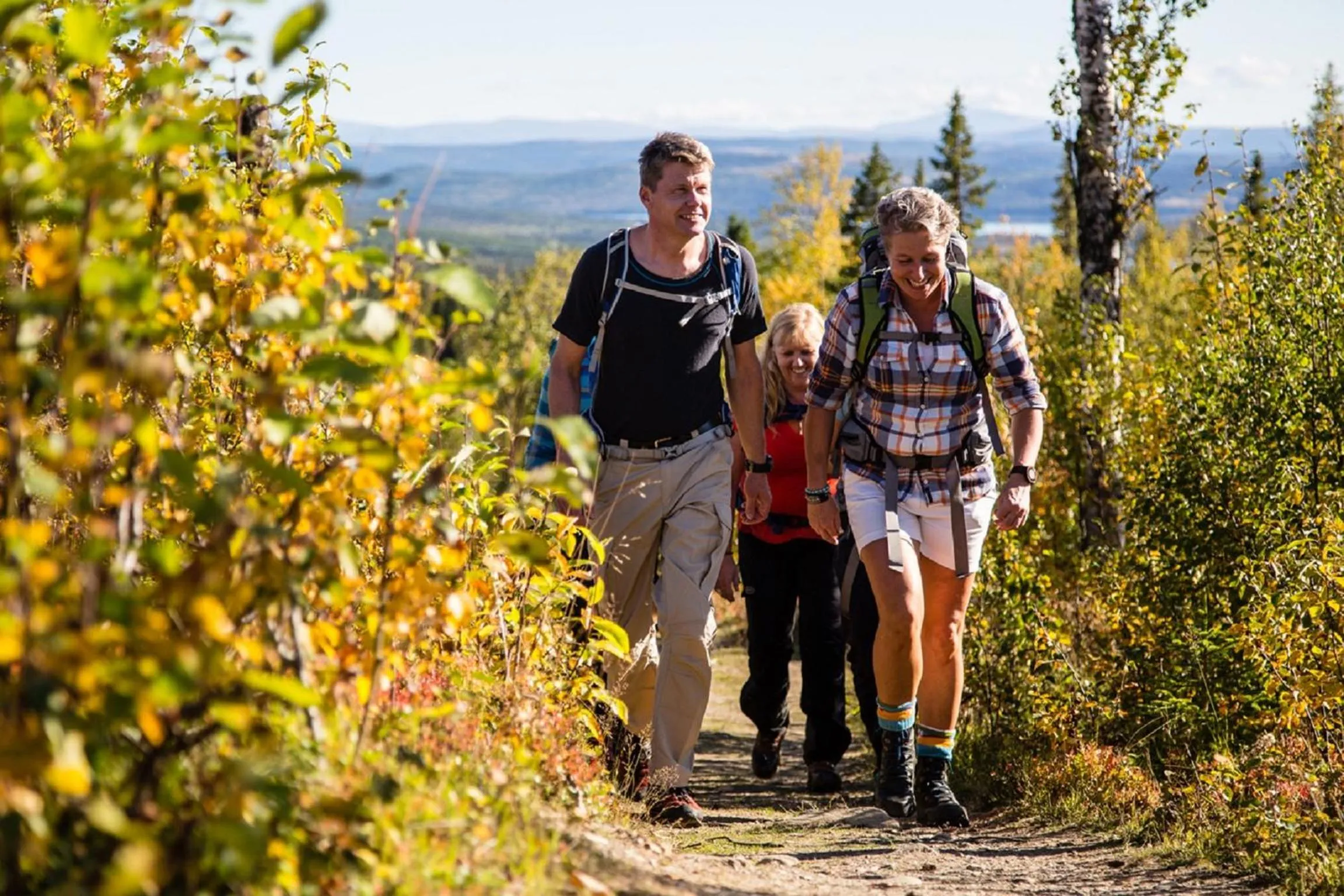 Hiking in Vålådalens Fjällstation