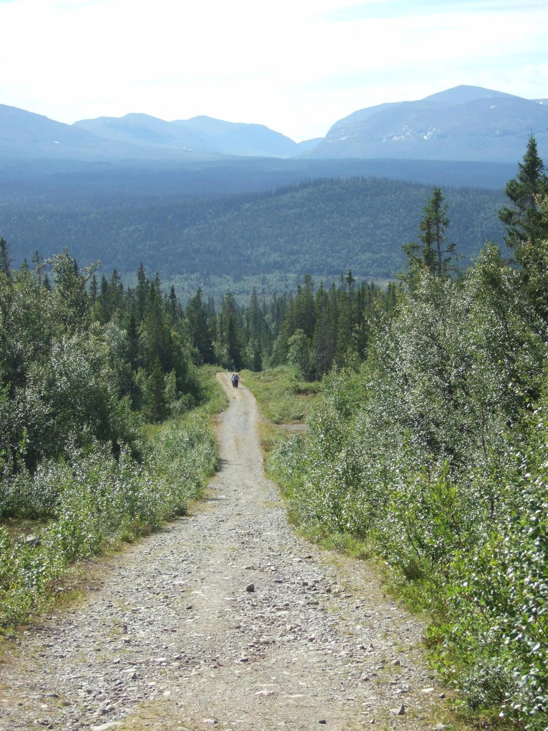 Natural landscape in Vålådalens Fjällstation