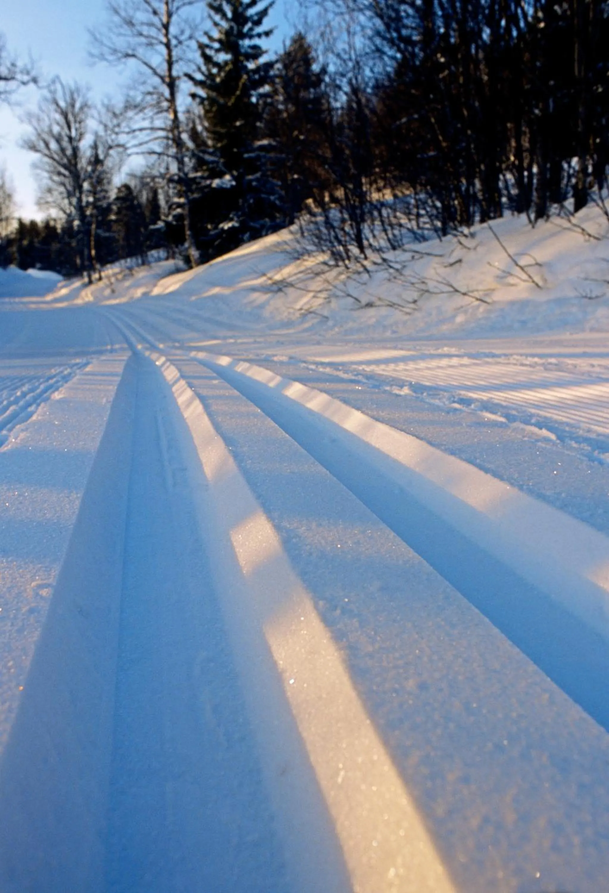 Skiing in Vålådalens Fjällstation