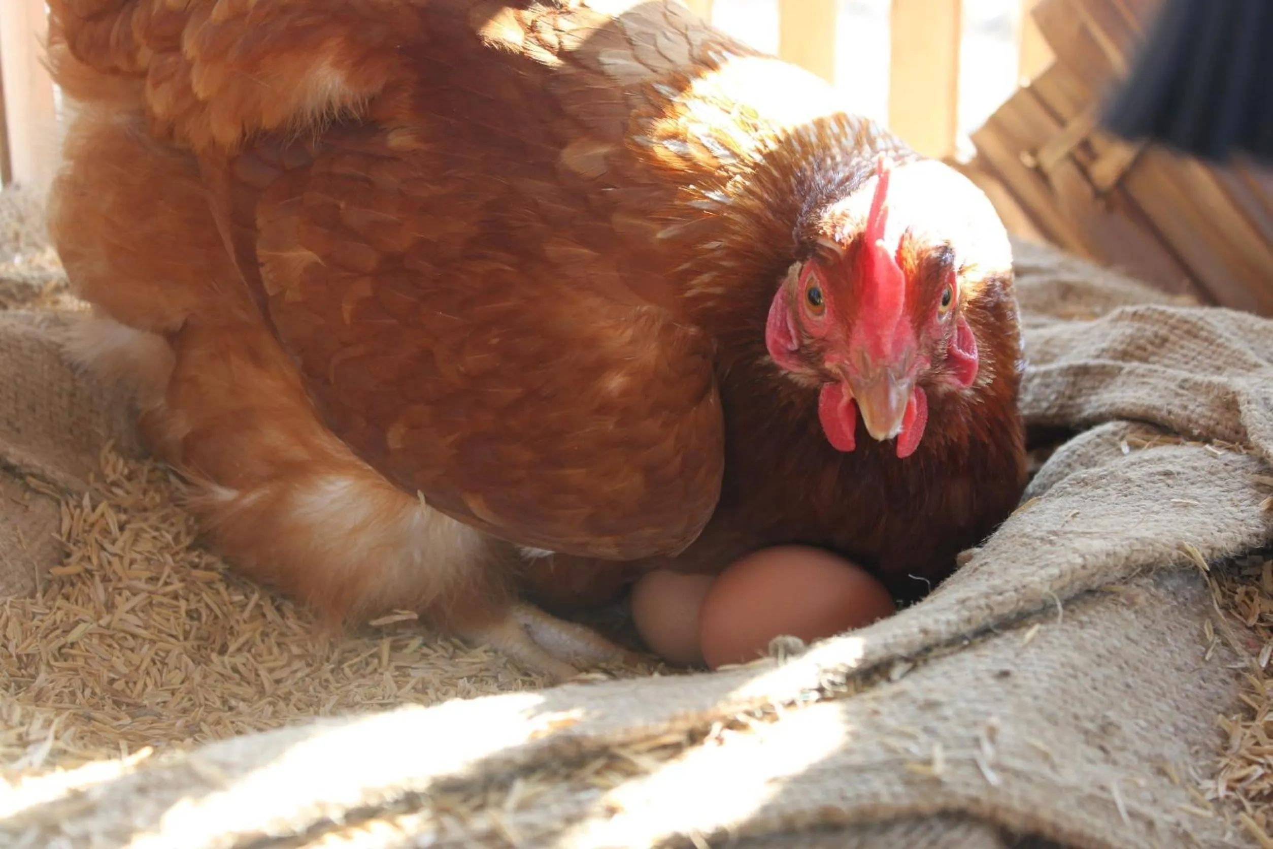 Property building in Menam Resort