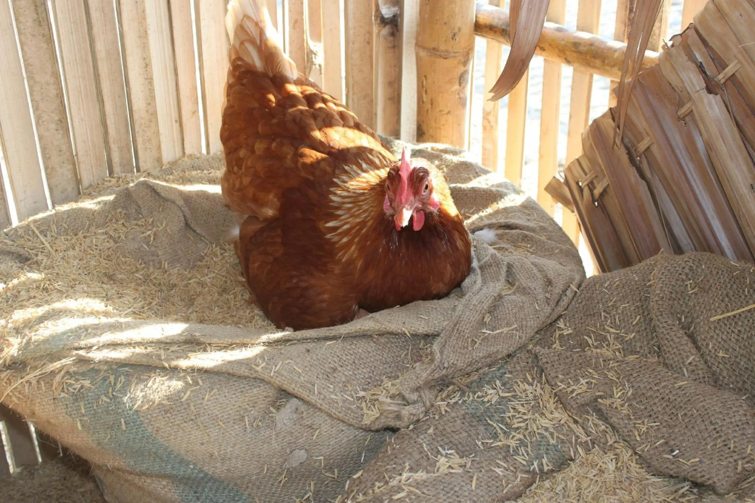 Property building in Menam Resort