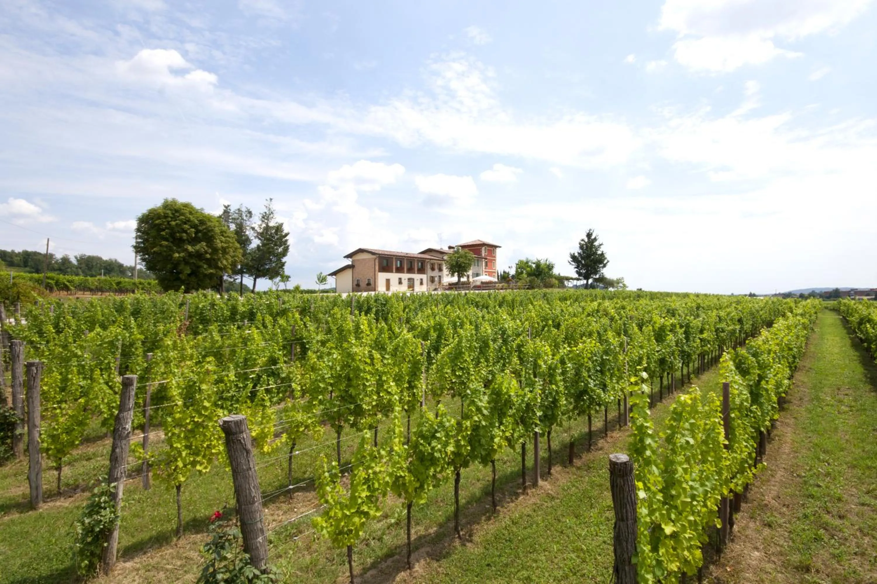 Alloggio Agrituristico CORTE SAN BIAGIO