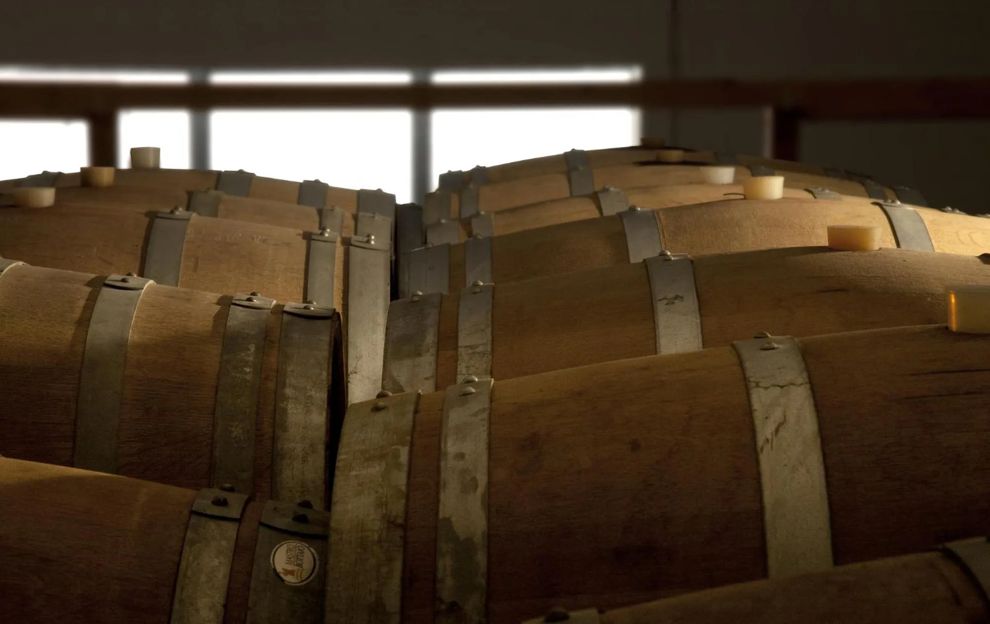 Alloggio Agrituristico CORTE SAN BIAGIO