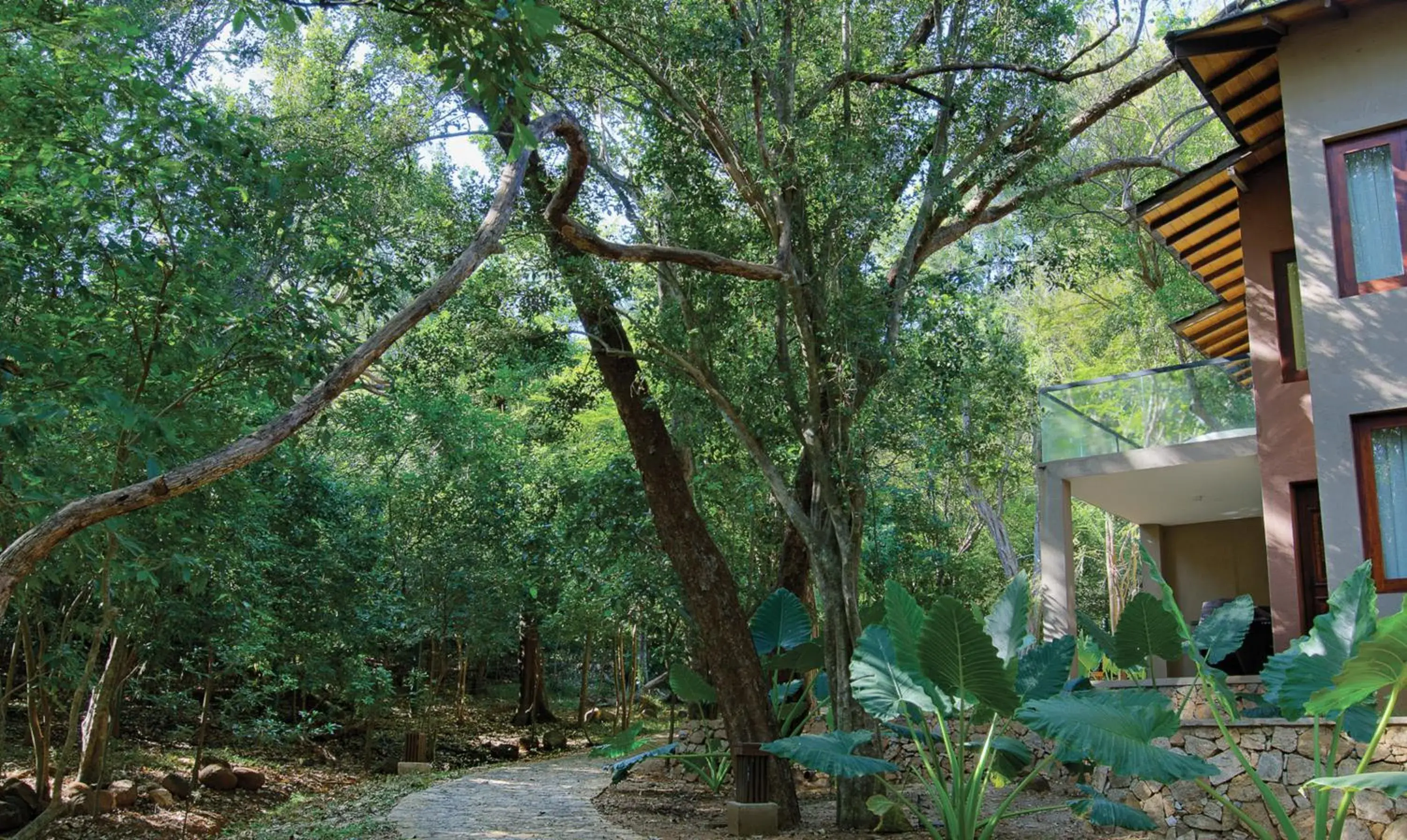 Property building in The Deer Park Hotel Property building in The Deer Park Hotel