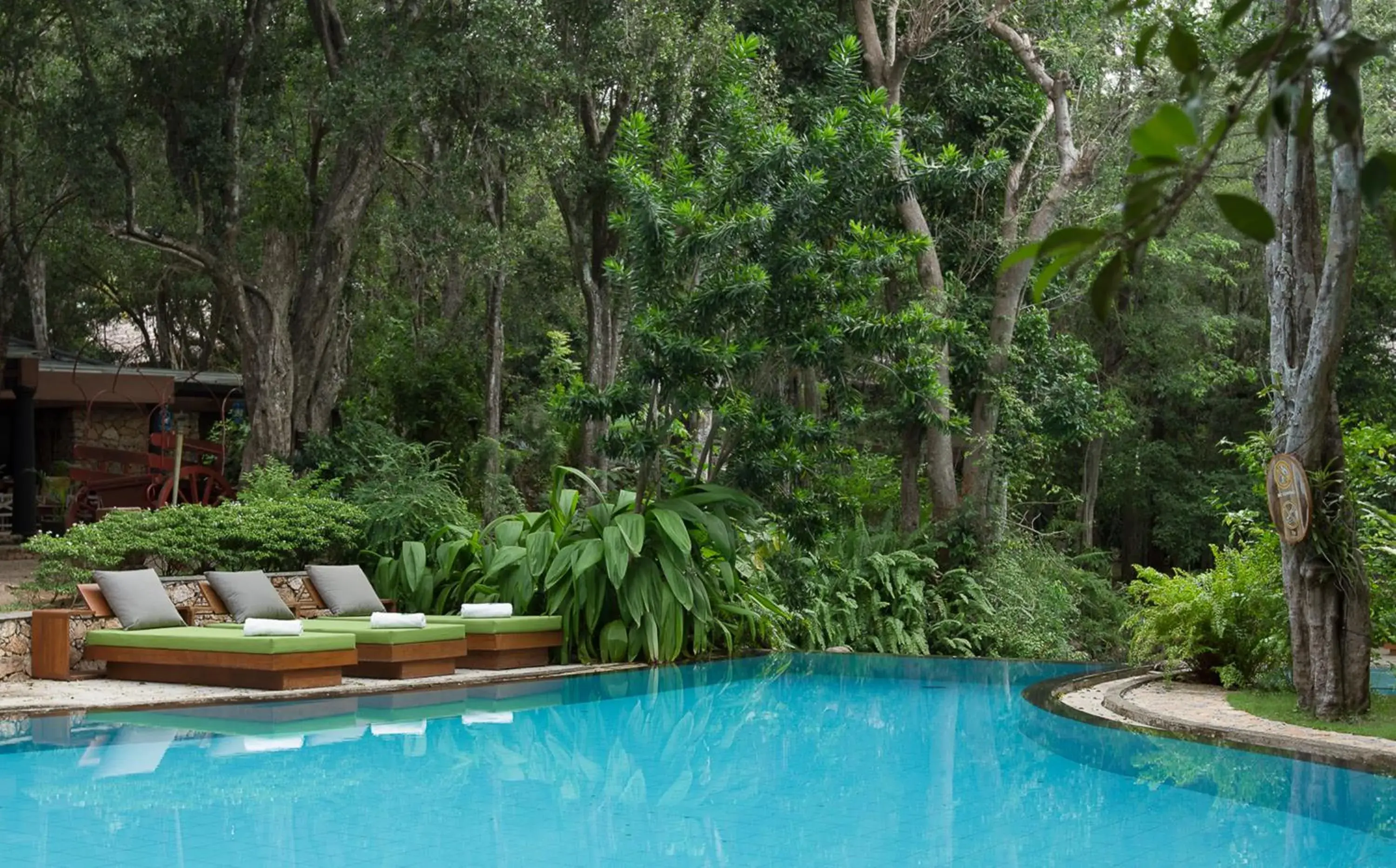 Swimming pool in The Deer Park Hotel Swimming pool in The Deer Park Hotel