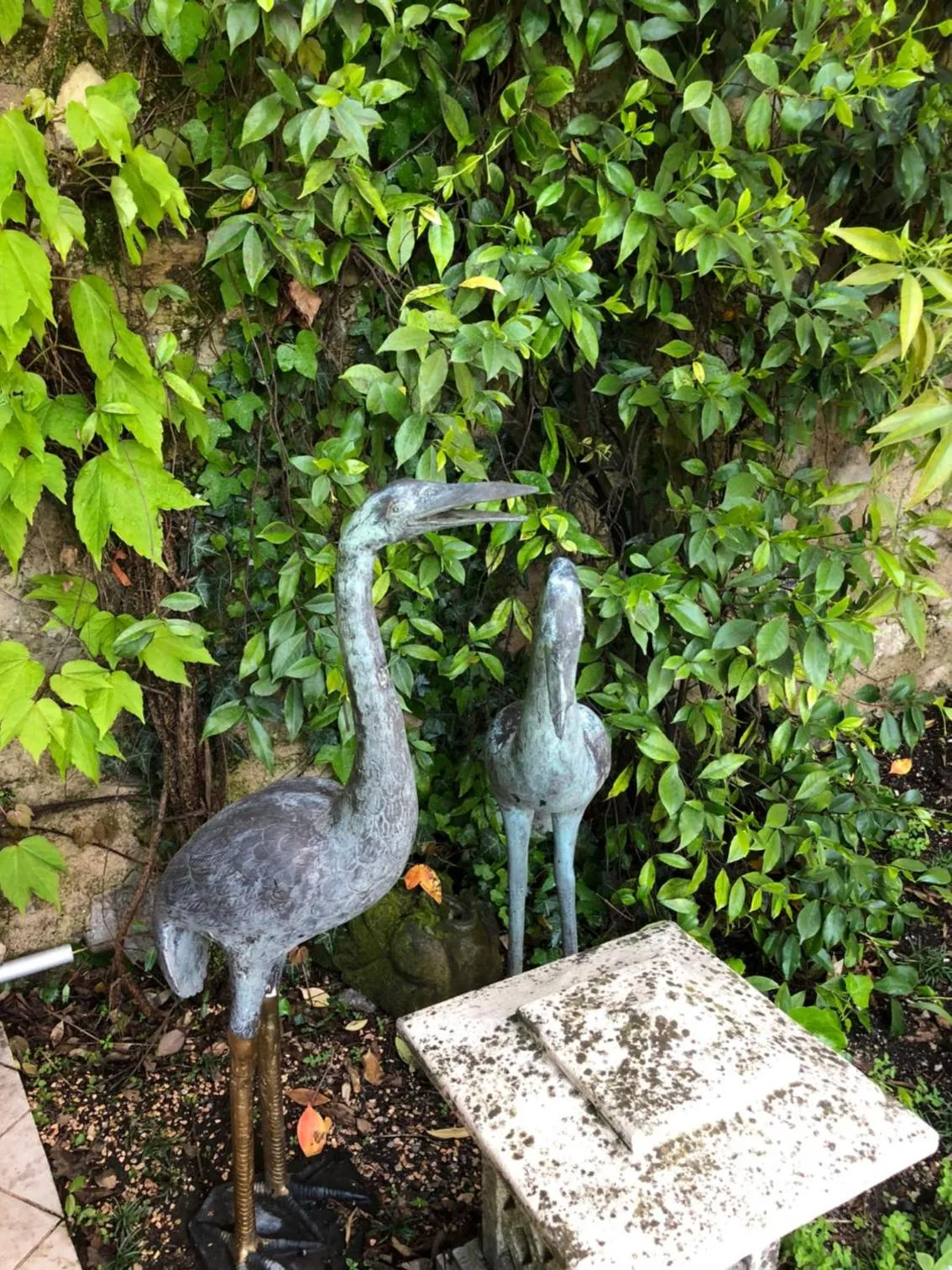 Garden in Locanda Agli Angeli