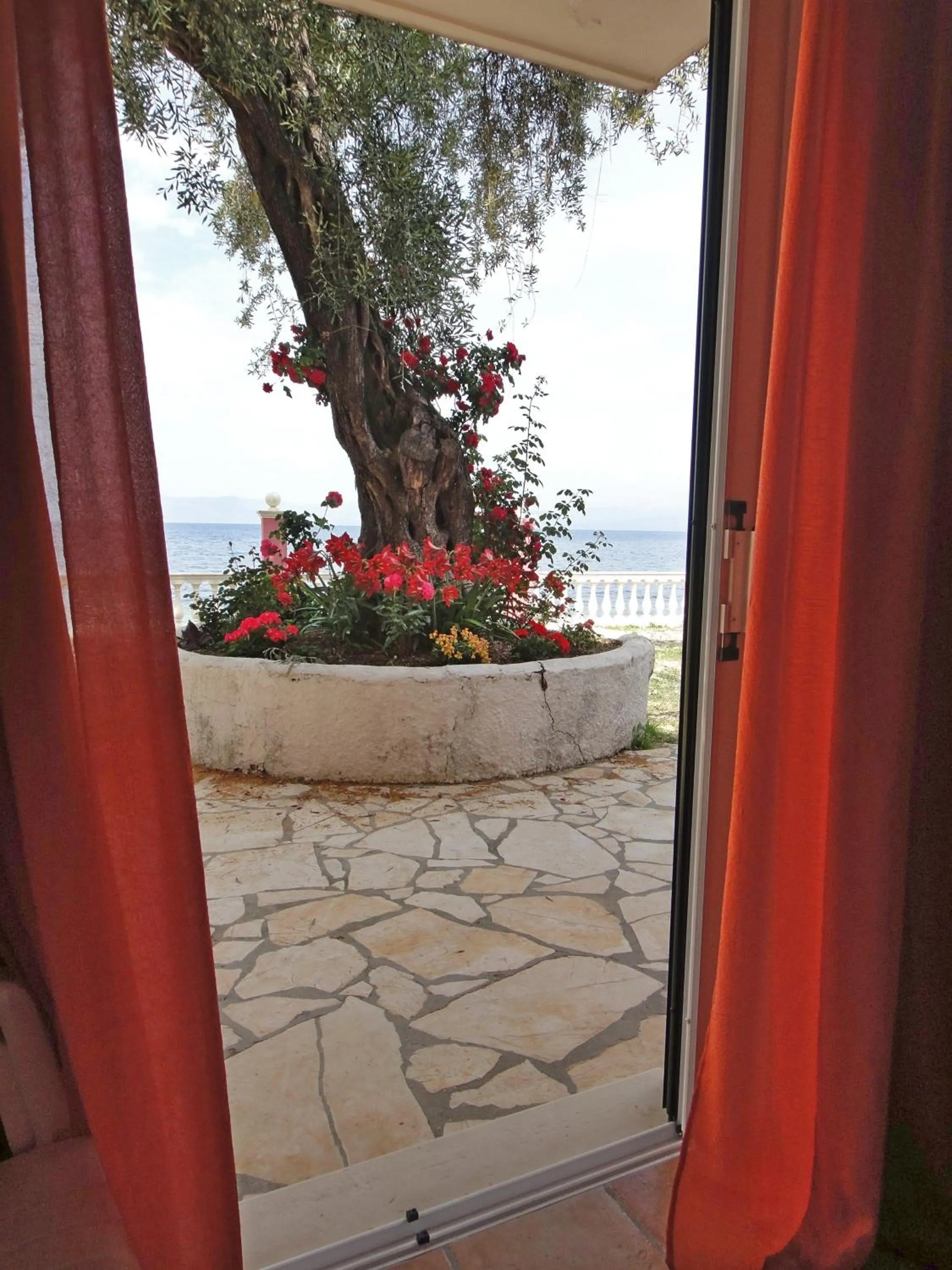 View (from property/room) in Apartments Corfu Sun Sea Side