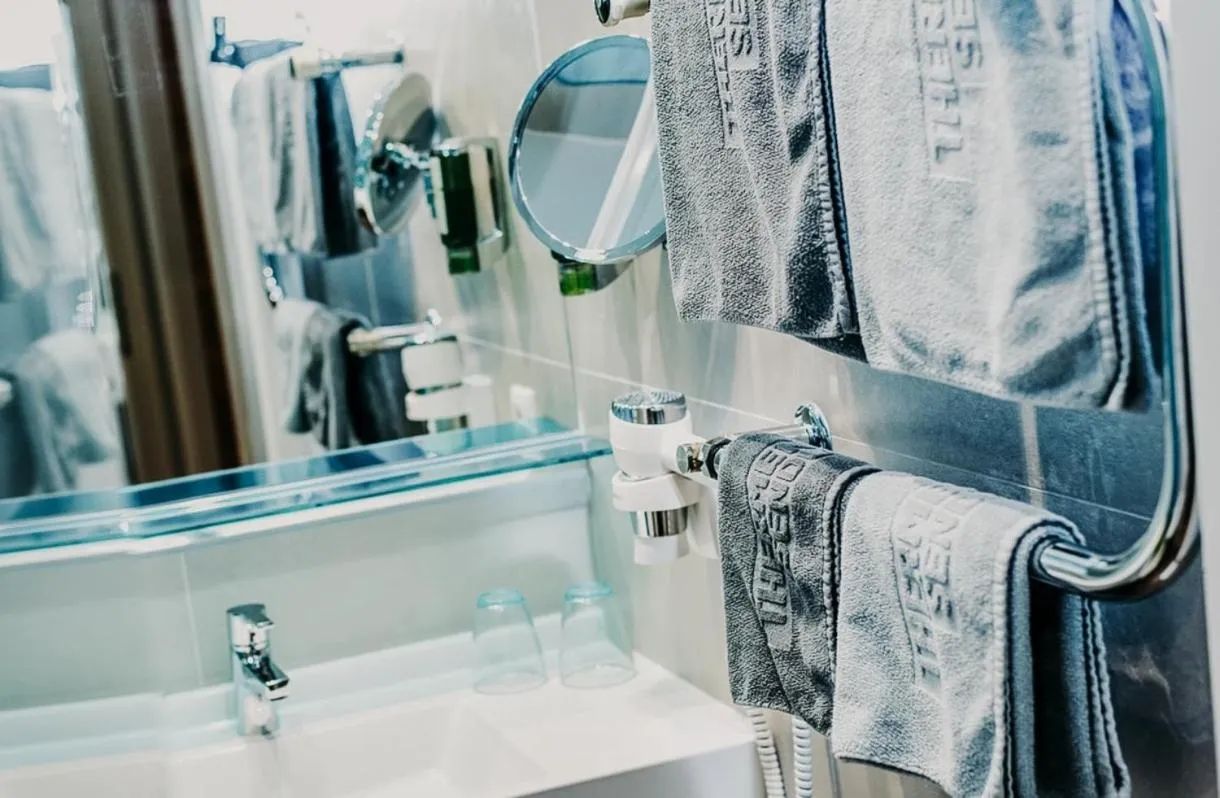 Bathroom in Sendlhofer's