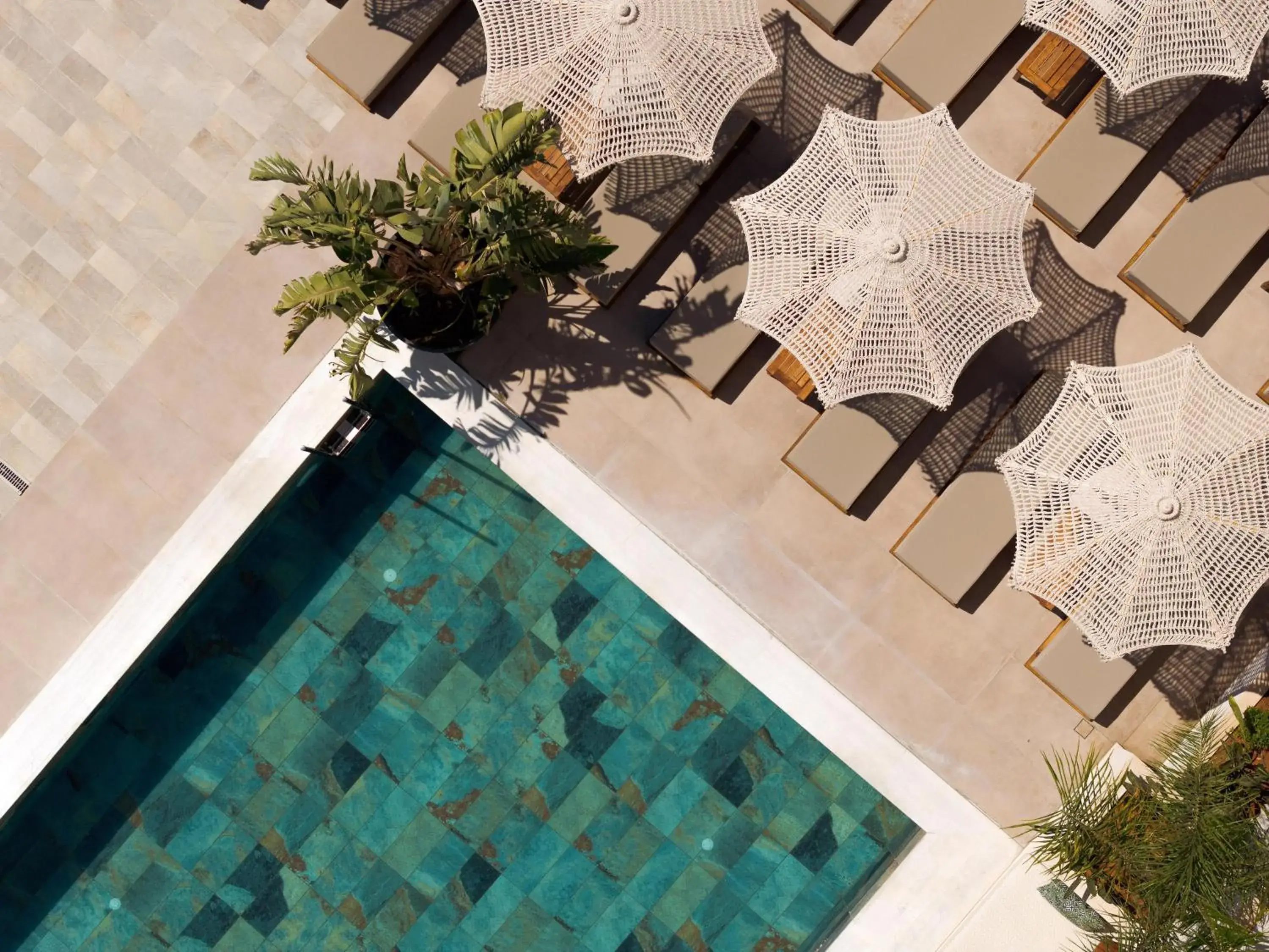 Swimming pool in Sergios Hotel Swimming pool in Sergios Hotel