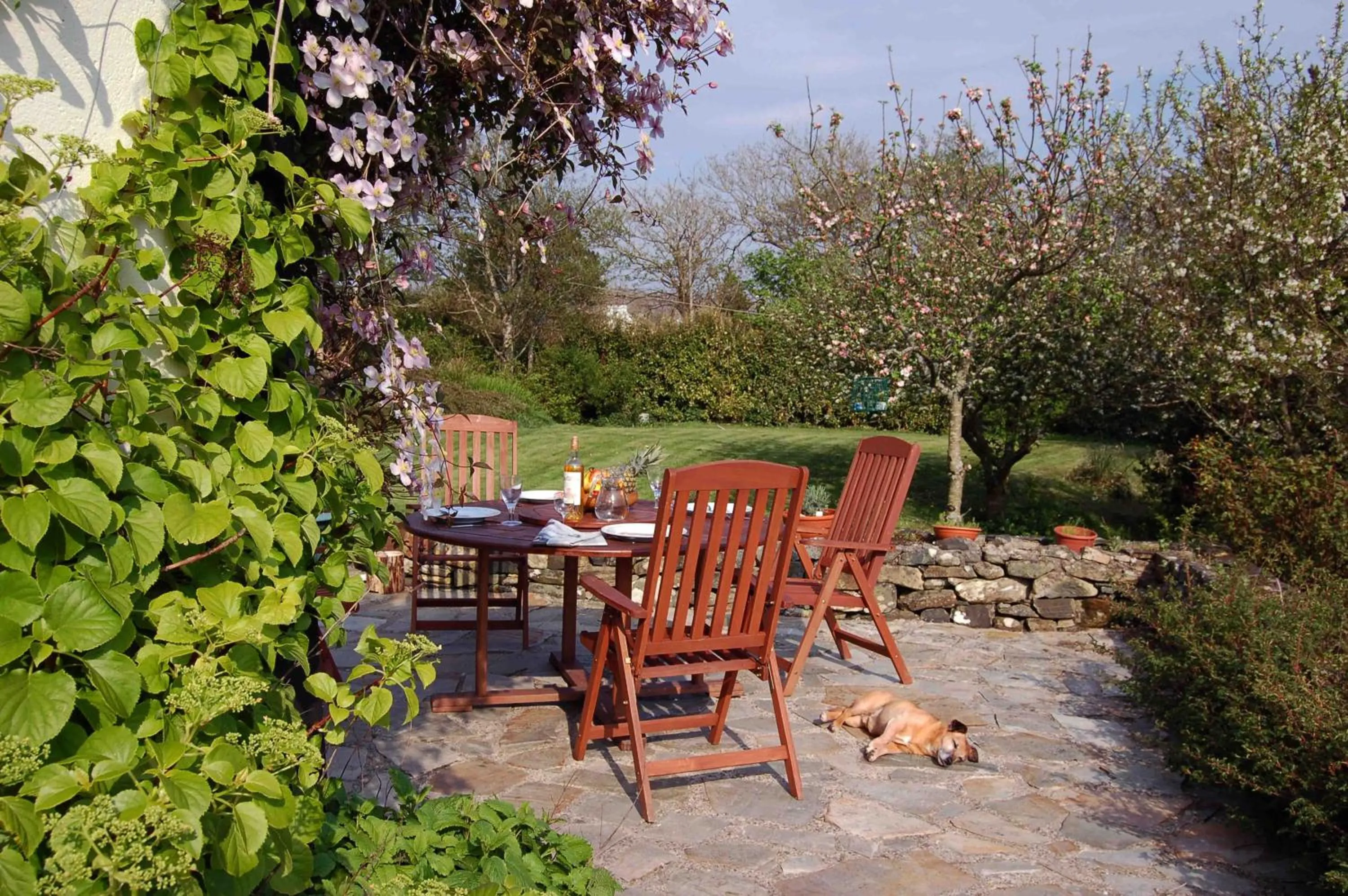 Garden in Sharamore House B&B