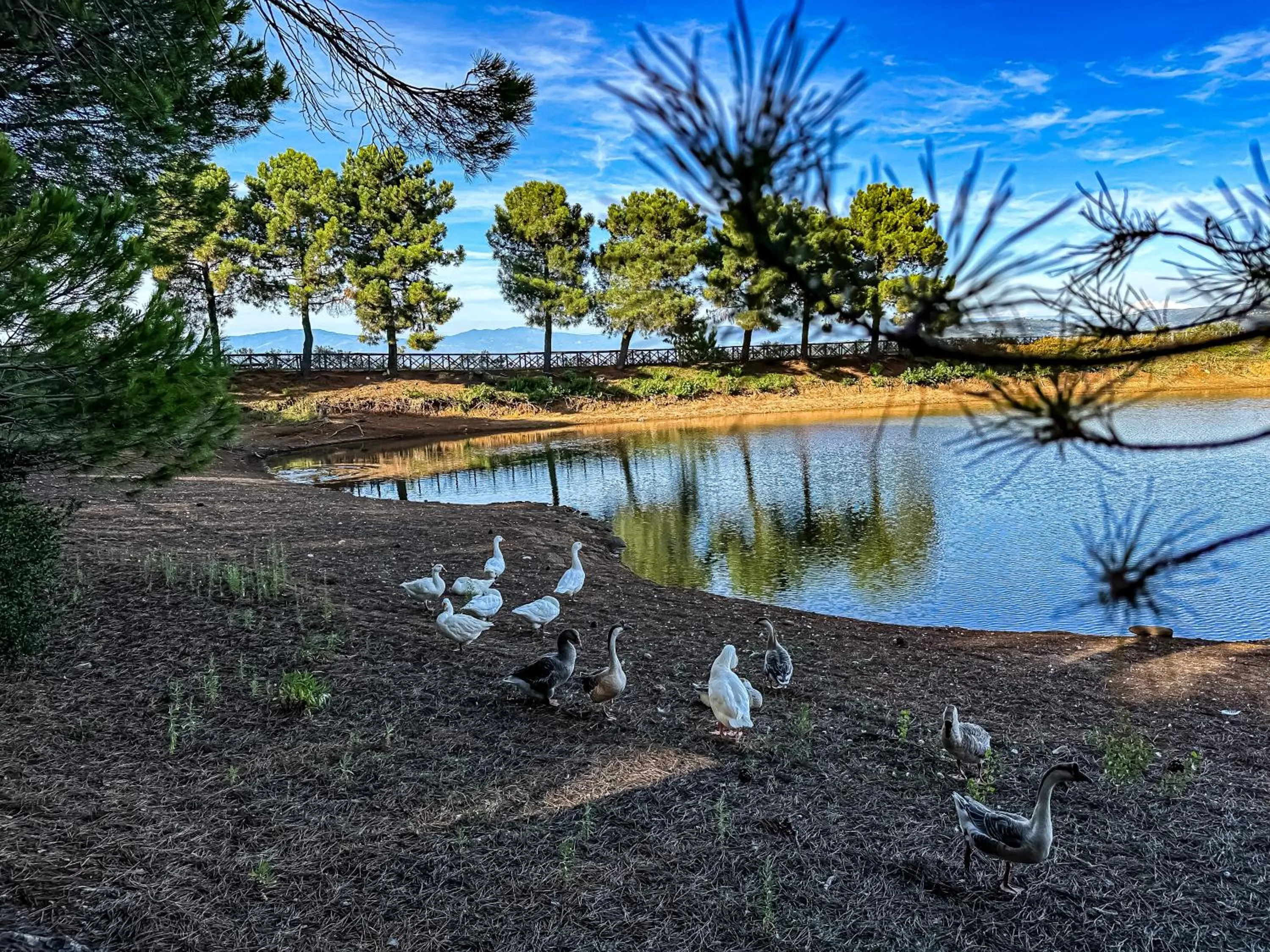 Lake view in Popilia Country Resort