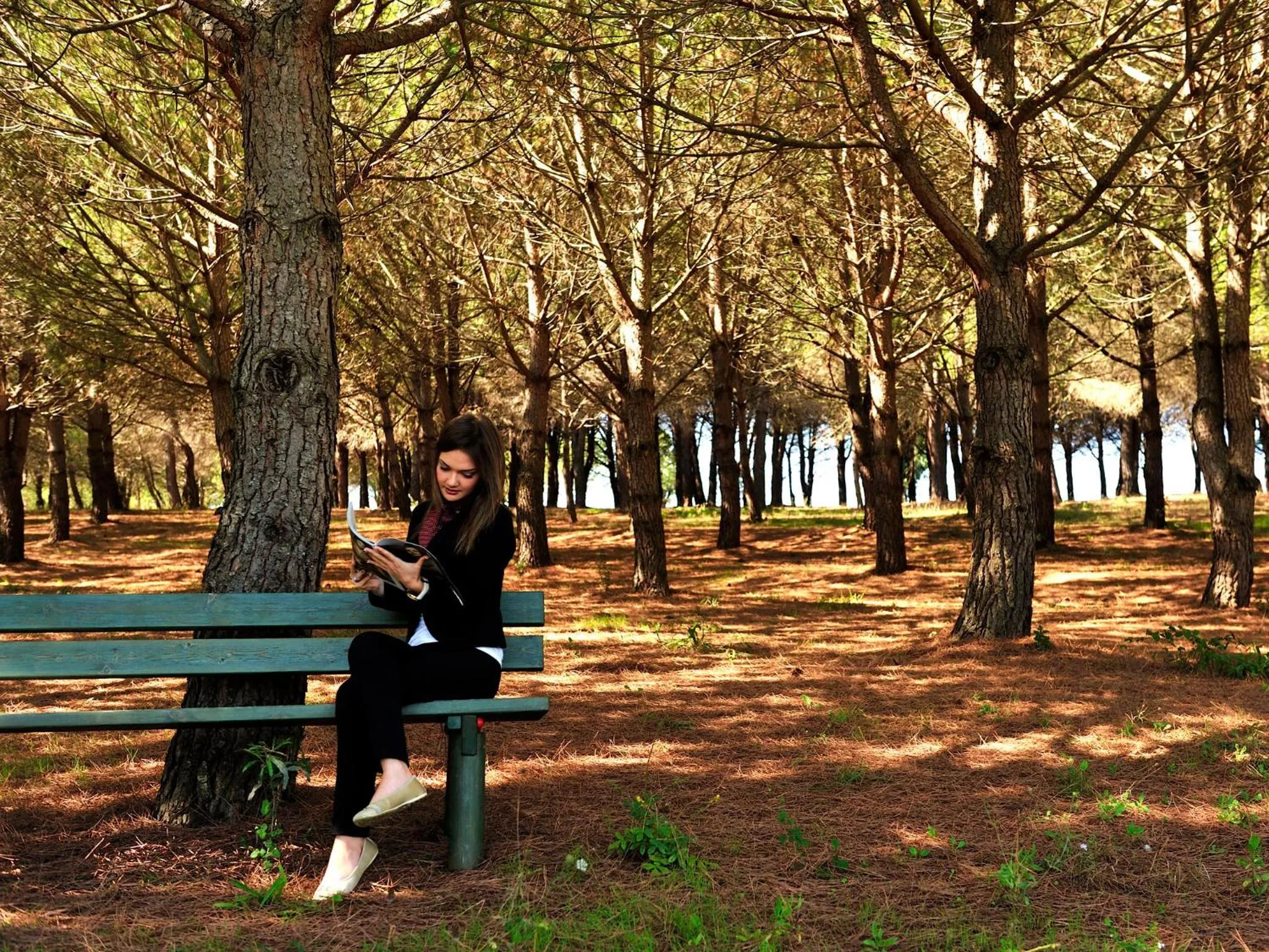 Garden in Popilia Country Resort