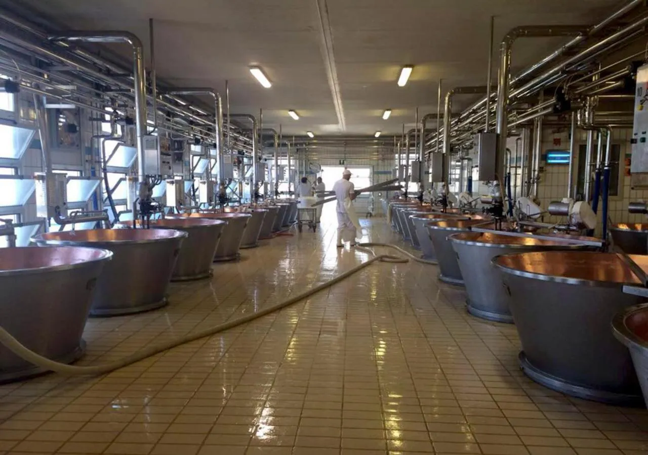 Activities in B&B Antica cascina