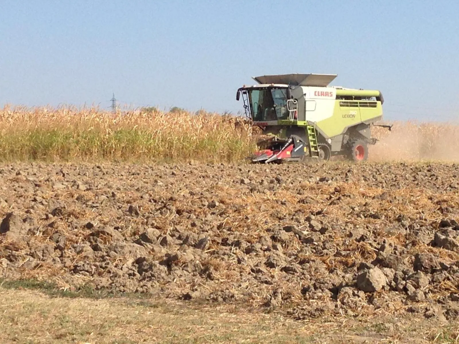 On site in B&B Antica cascina