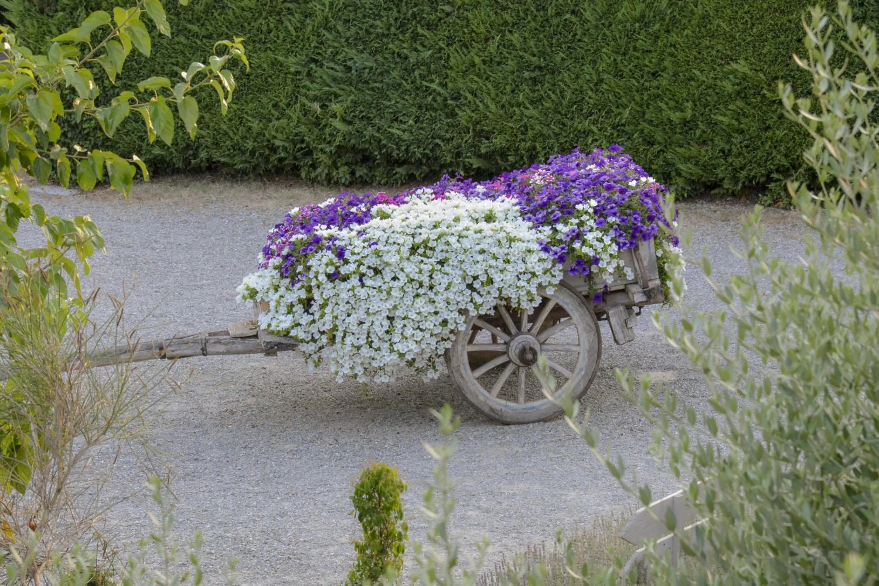 Garden view in Casa Di Campagna In Toscana