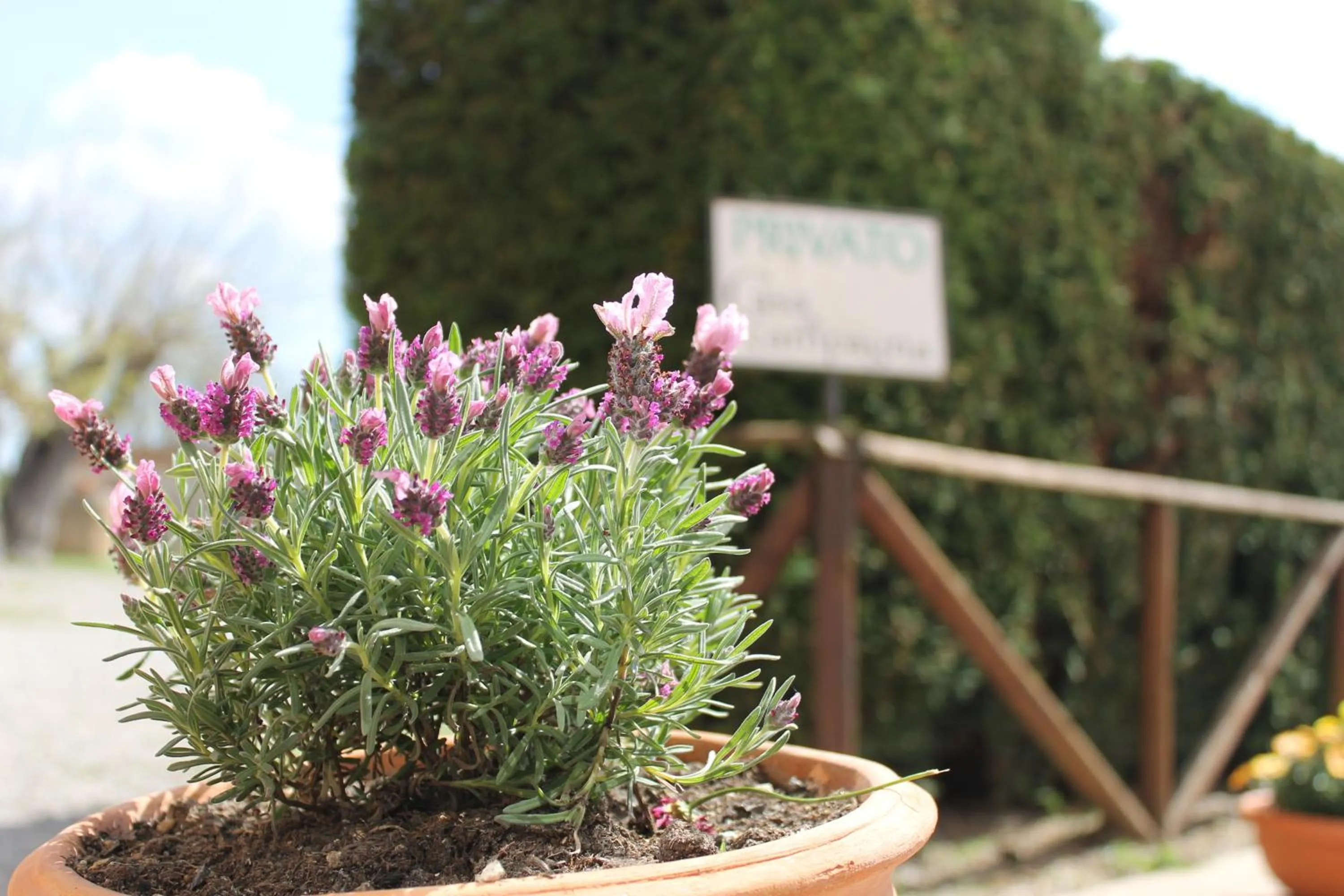 Spring in Casa Di Campagna In Toscana
