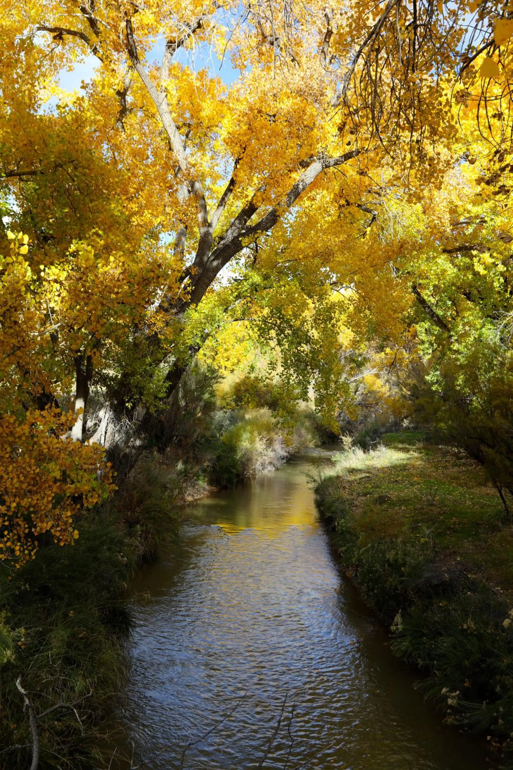 Natural landscape in Canyon Of The Ancients Guest Ranch