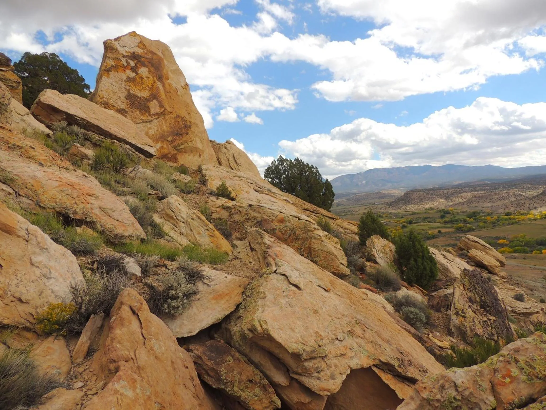 Day in Canyon Of The Ancients Guest Ranch