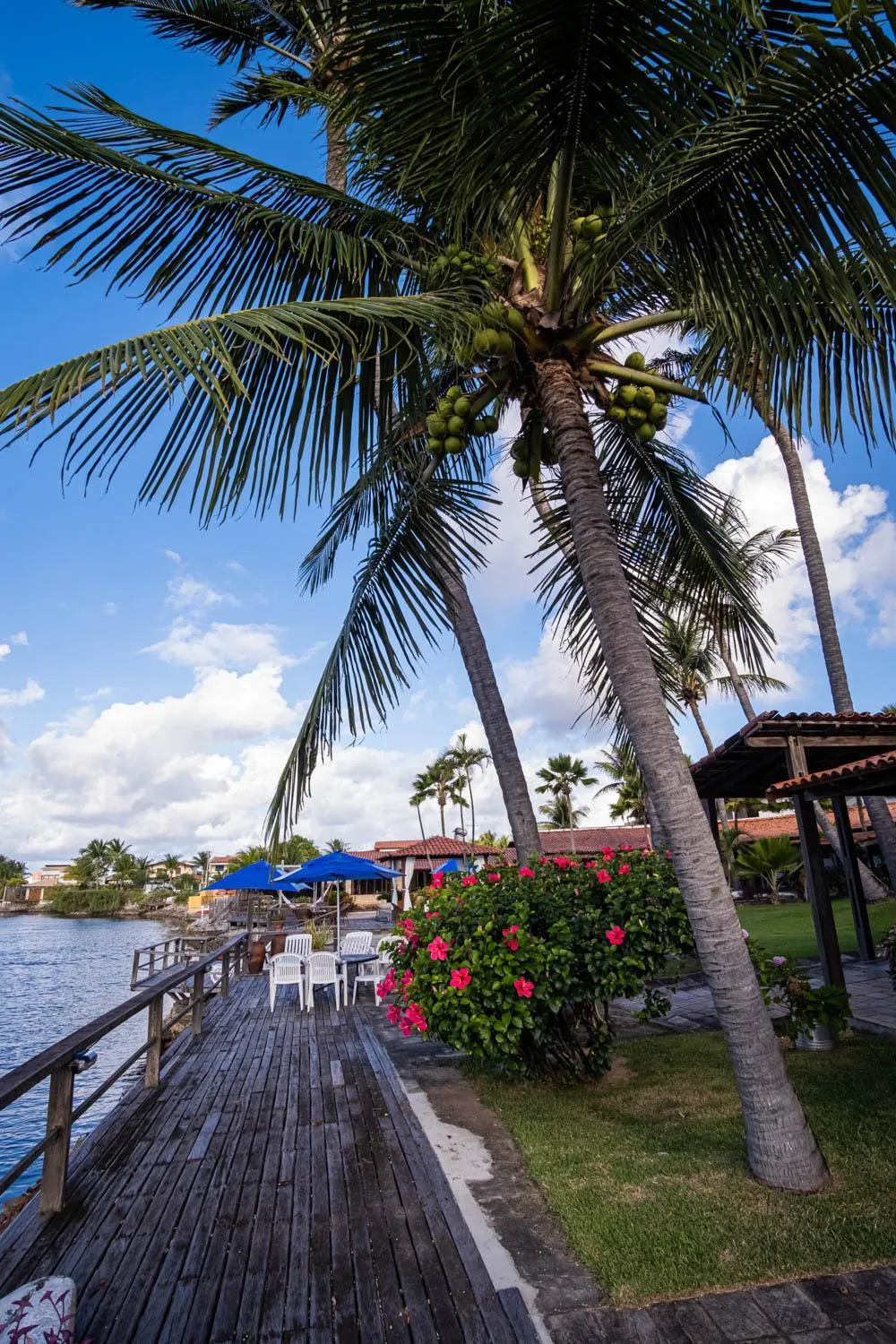 Garden view in Pousada Villa do Sol