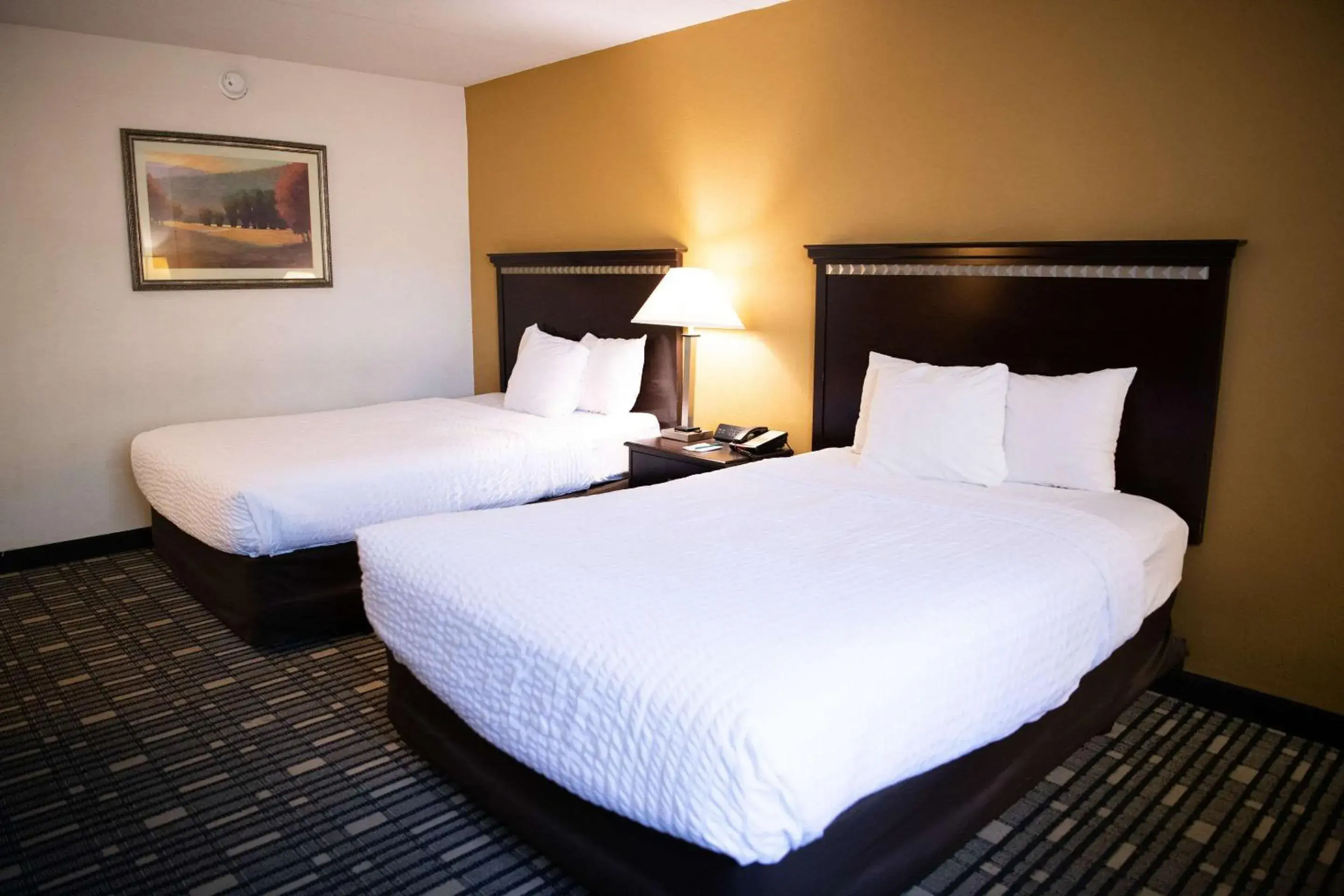 Bedroom, Bed in Quality Inn & Conference Center Bedroom, Bed in Quality Inn & Conference Center