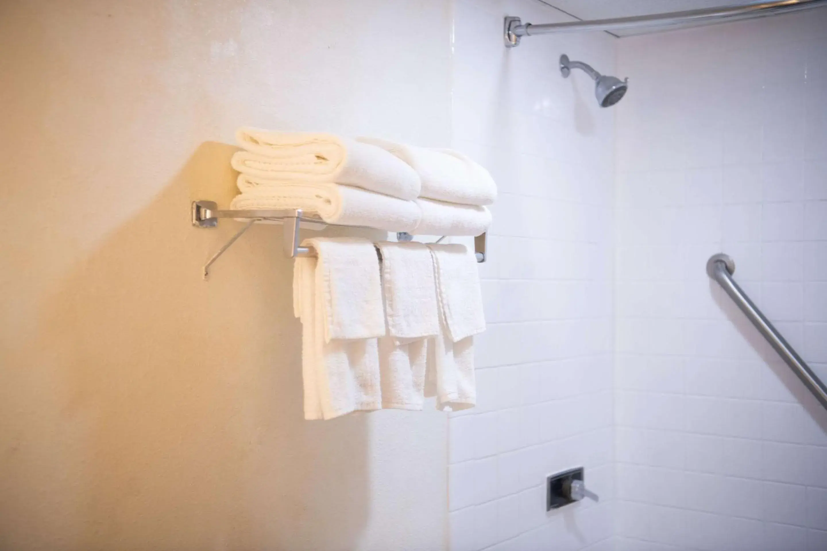 Bedroom in Quality Inn & Conference Center Bedroom in Quality Inn & Conference Center