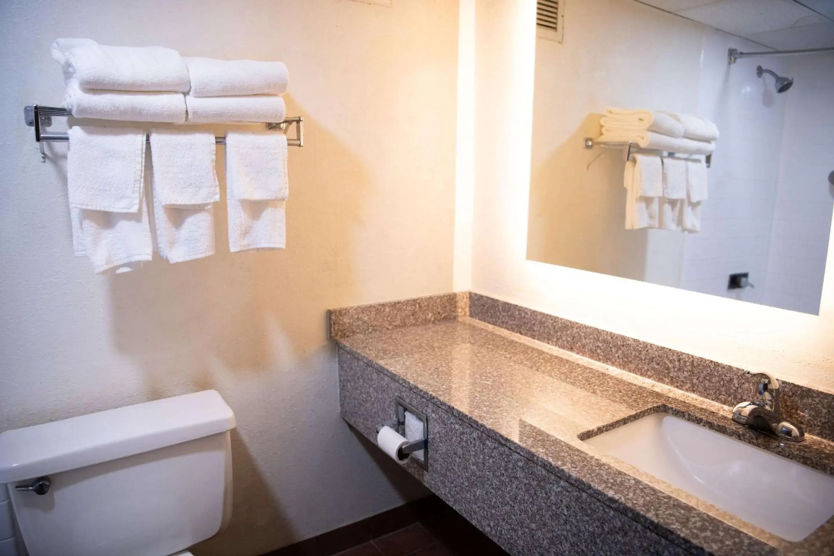 Bedroom in Quality Inn & Conference Center Bedroom in Quality Inn & Conference Center