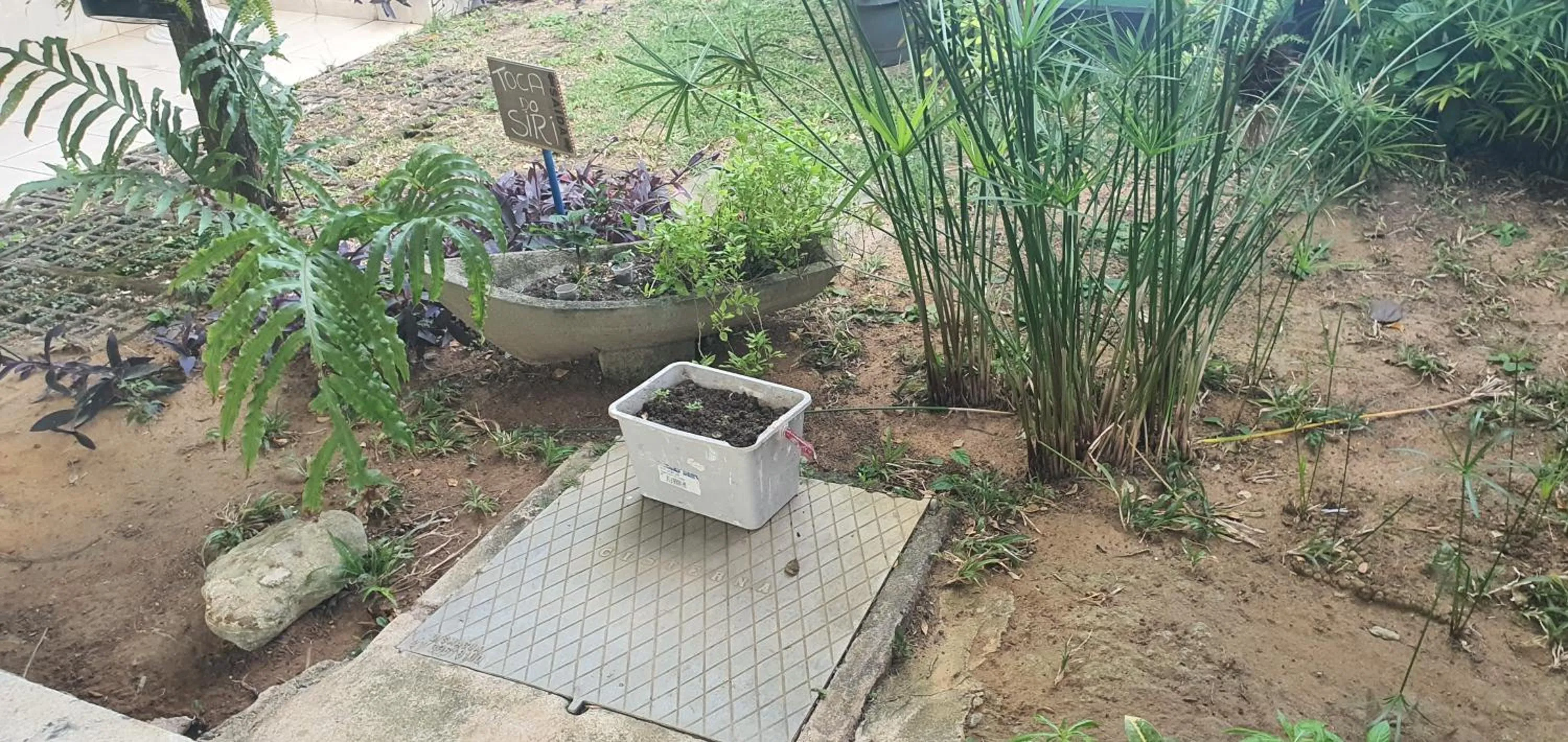 Garden in Duas Praias Hotel Pousada