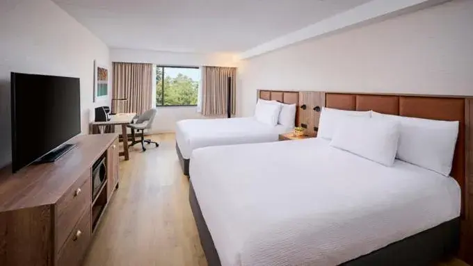 Bed in Valhalla Hotel & Conference Centre Bed in Valhalla Hotel & Conference Centre