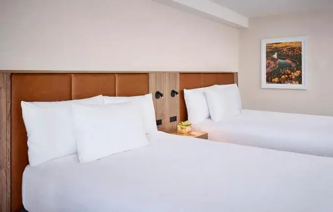 Bed in Valhalla Hotel & Conference Centre Bed in Valhalla Hotel & Conference Centre