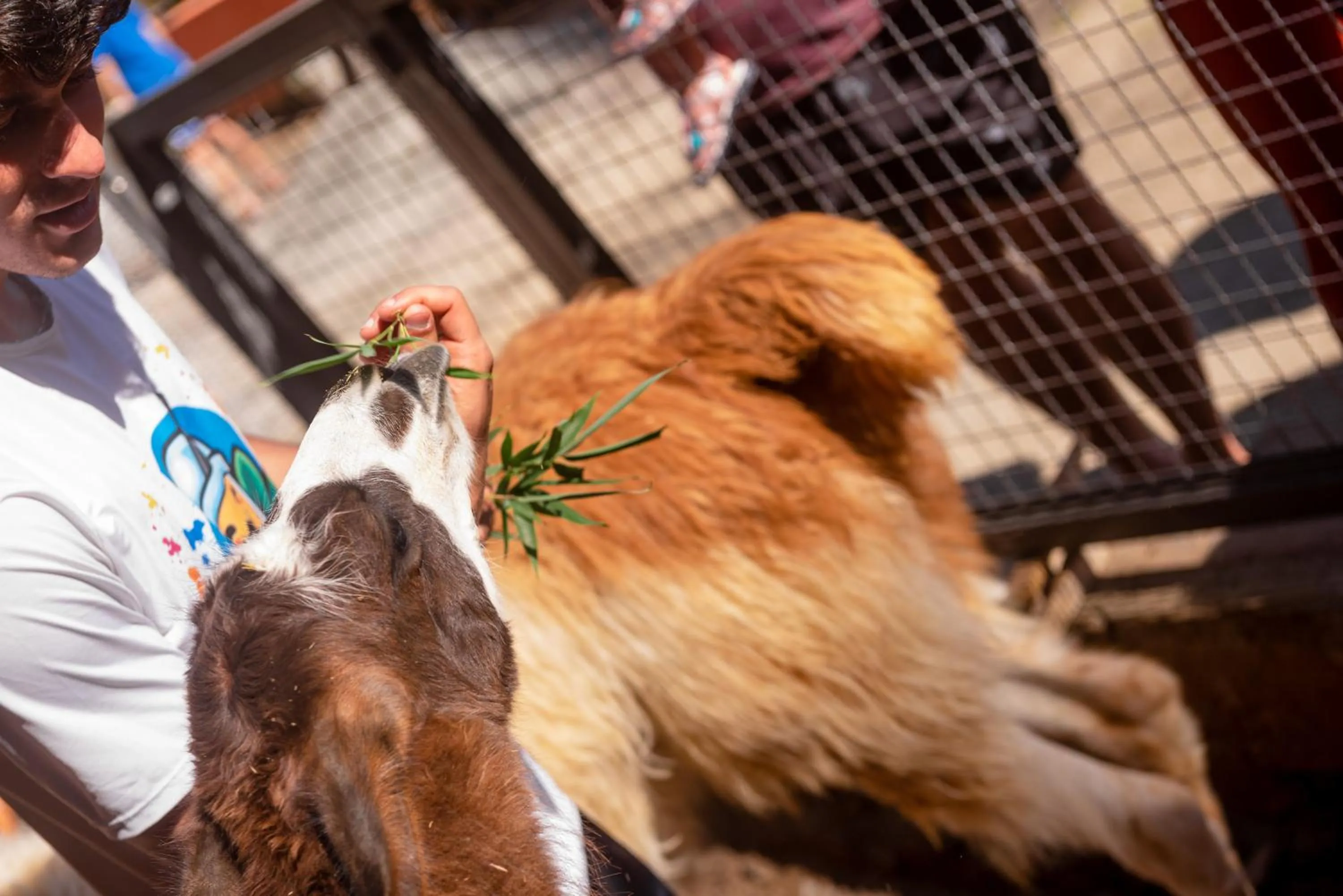 People in Hotel Vila Verde