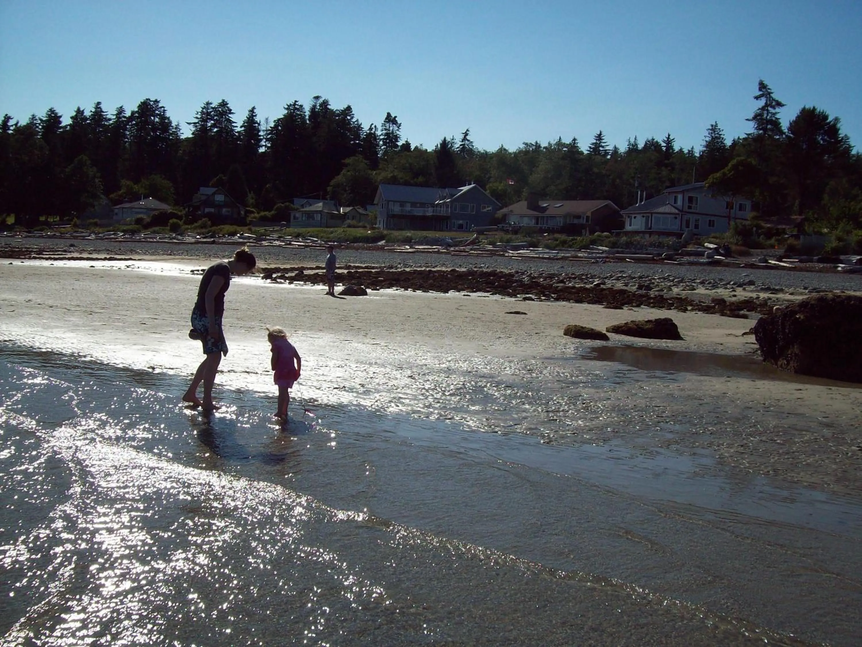 Beach in Higgin's Inn