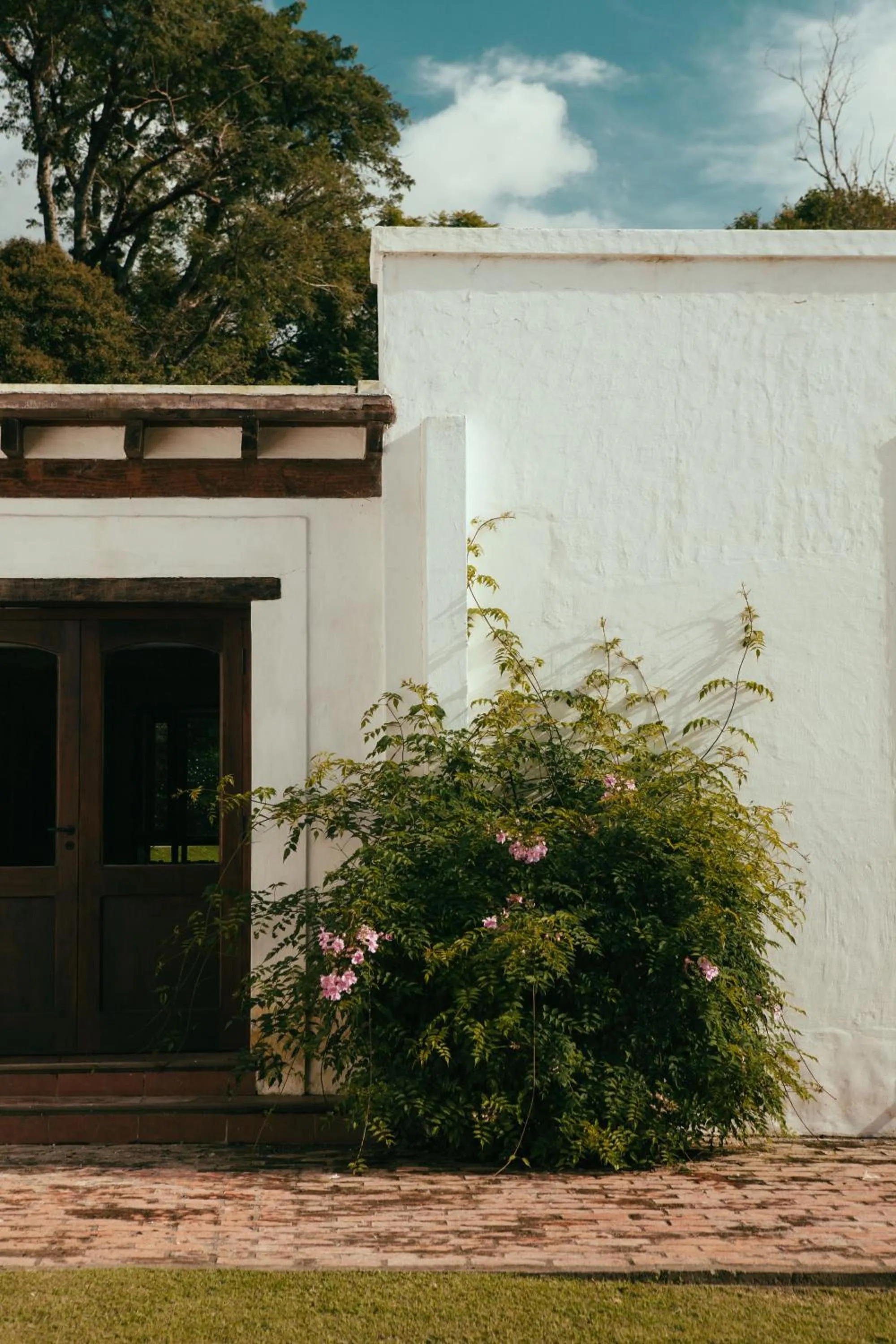 Garden in Las Moras Hotel