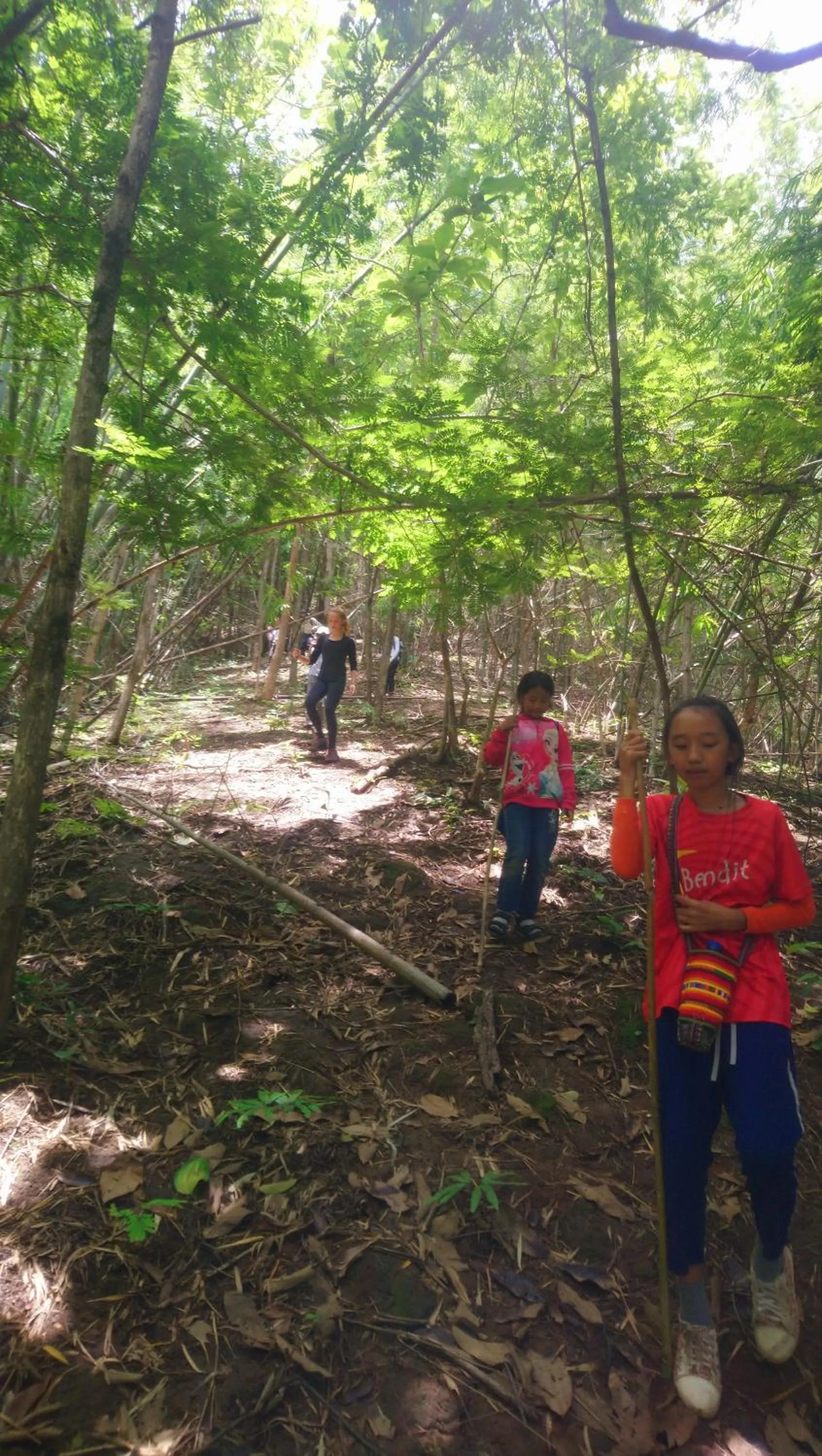 Hill Tribe Art House (Lahu & Akha Homestay)