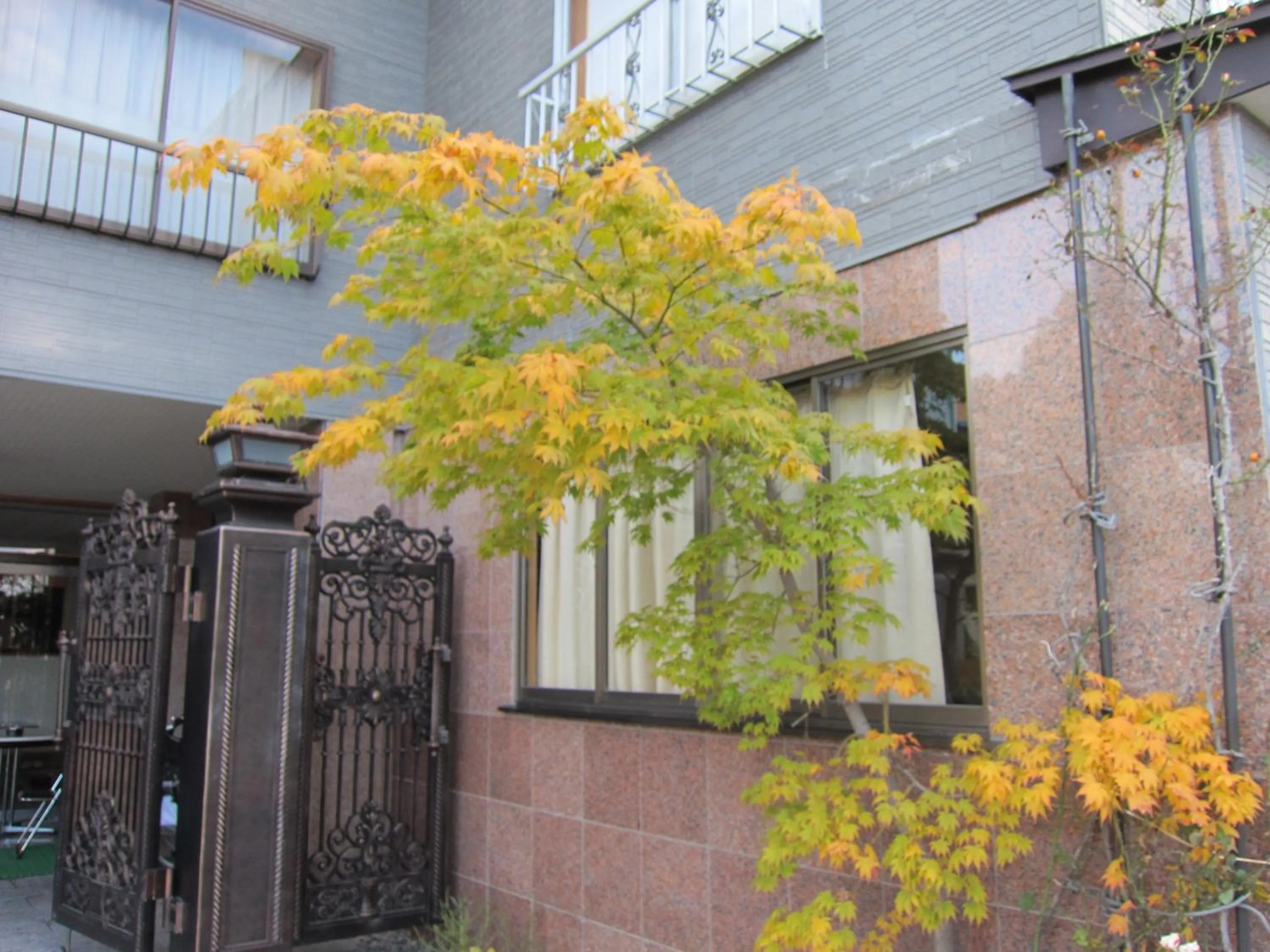 Property building in Ryokan Matsukaze