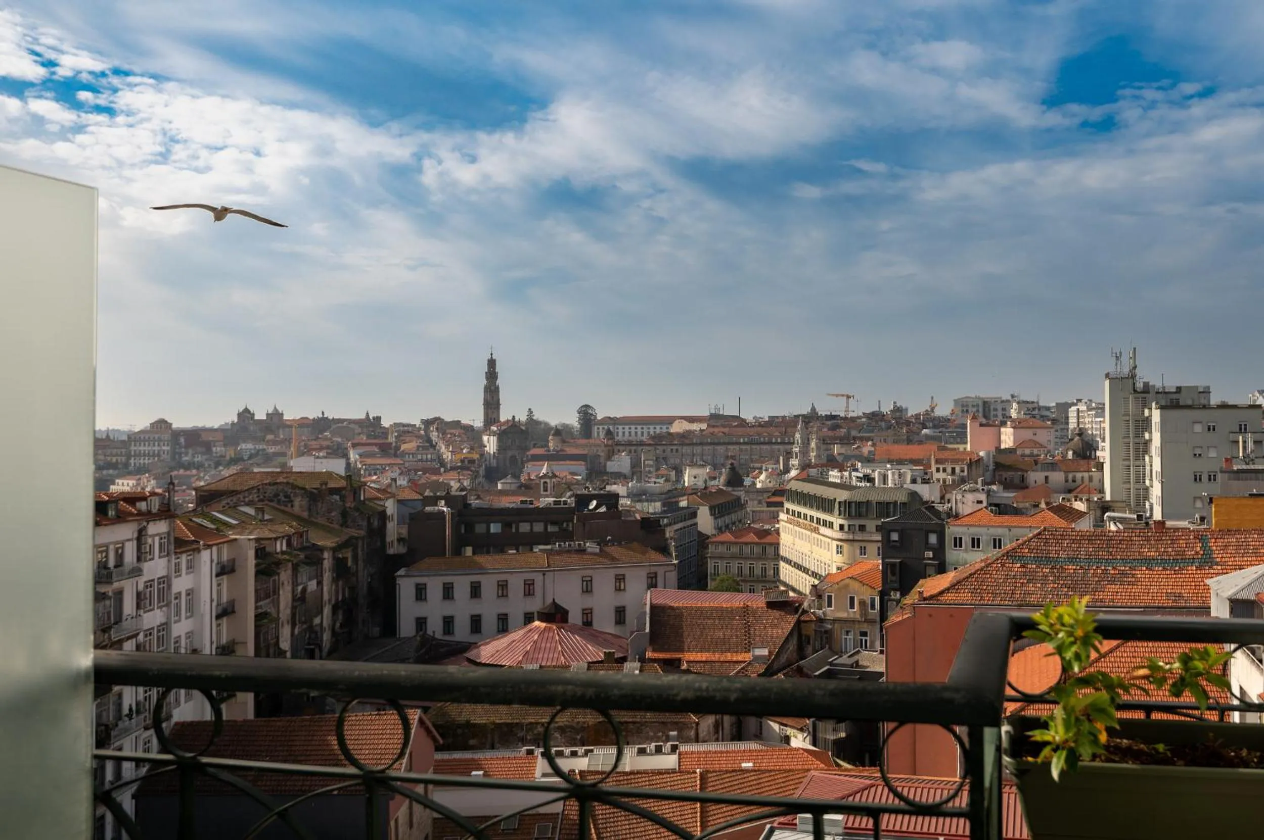 View (from property/room) in Santa Catarina FLH Suites