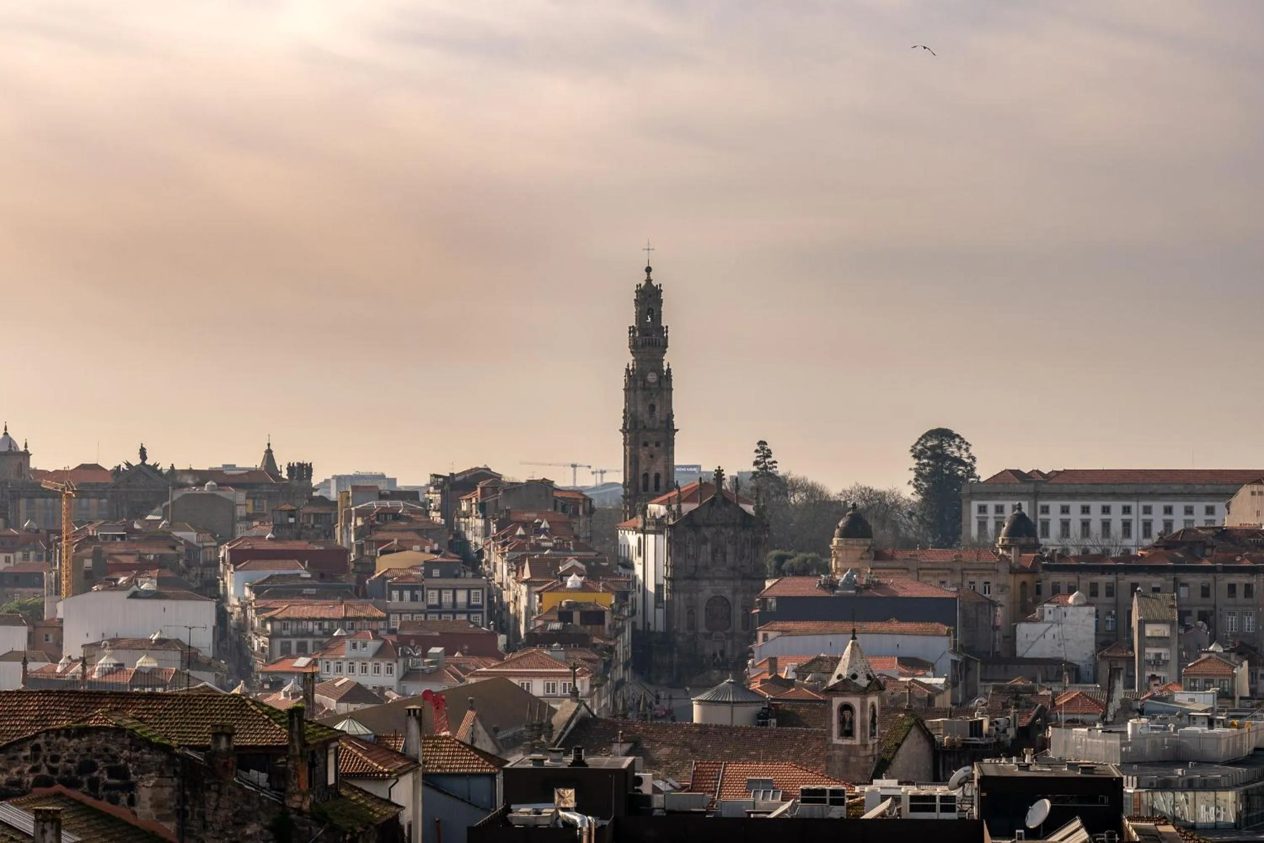 City view in Santa Catarina FLH Suites
