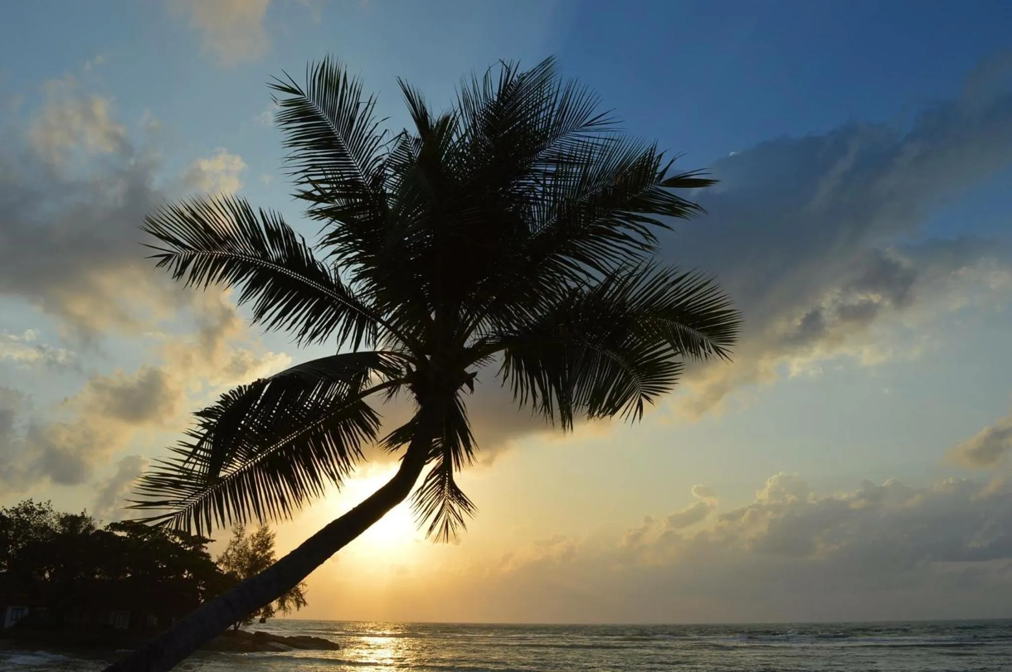 Off site in Three Trees Samui Resort - Sarocha Villa