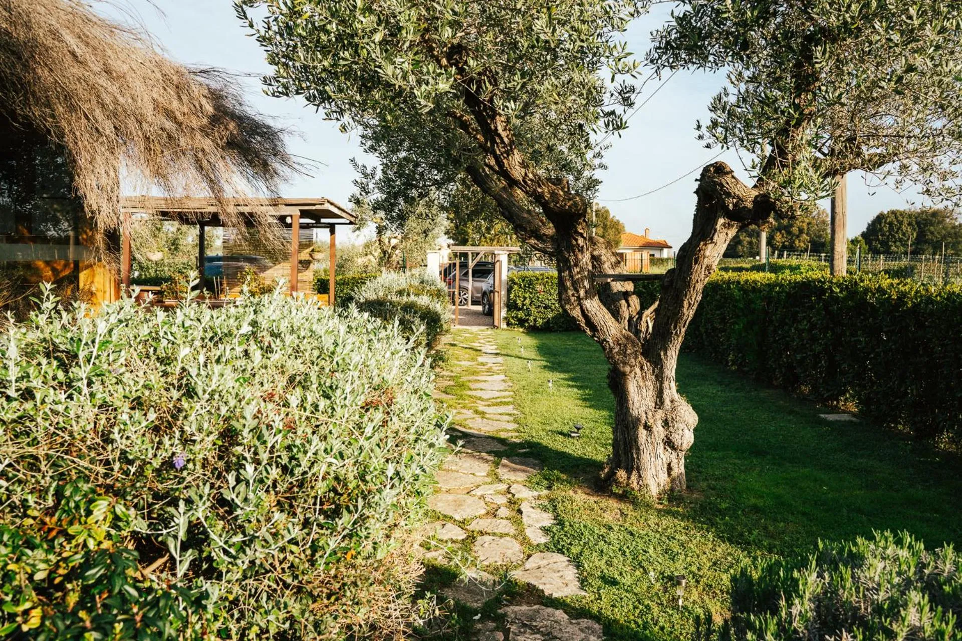 Garden in Agriturismo Sweet Cottage